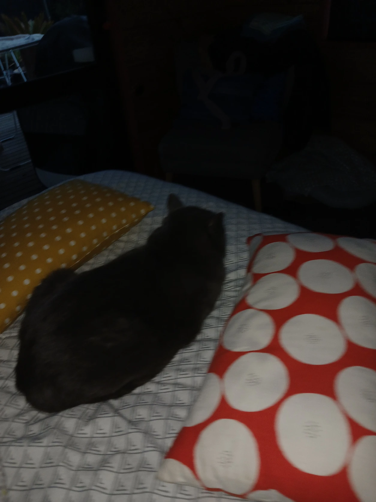 image-6