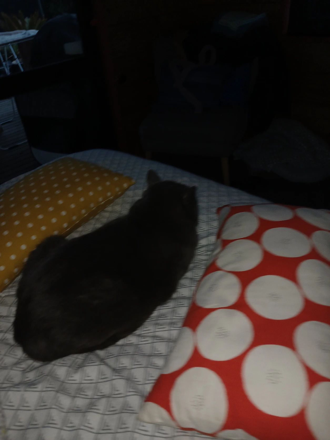 image-6