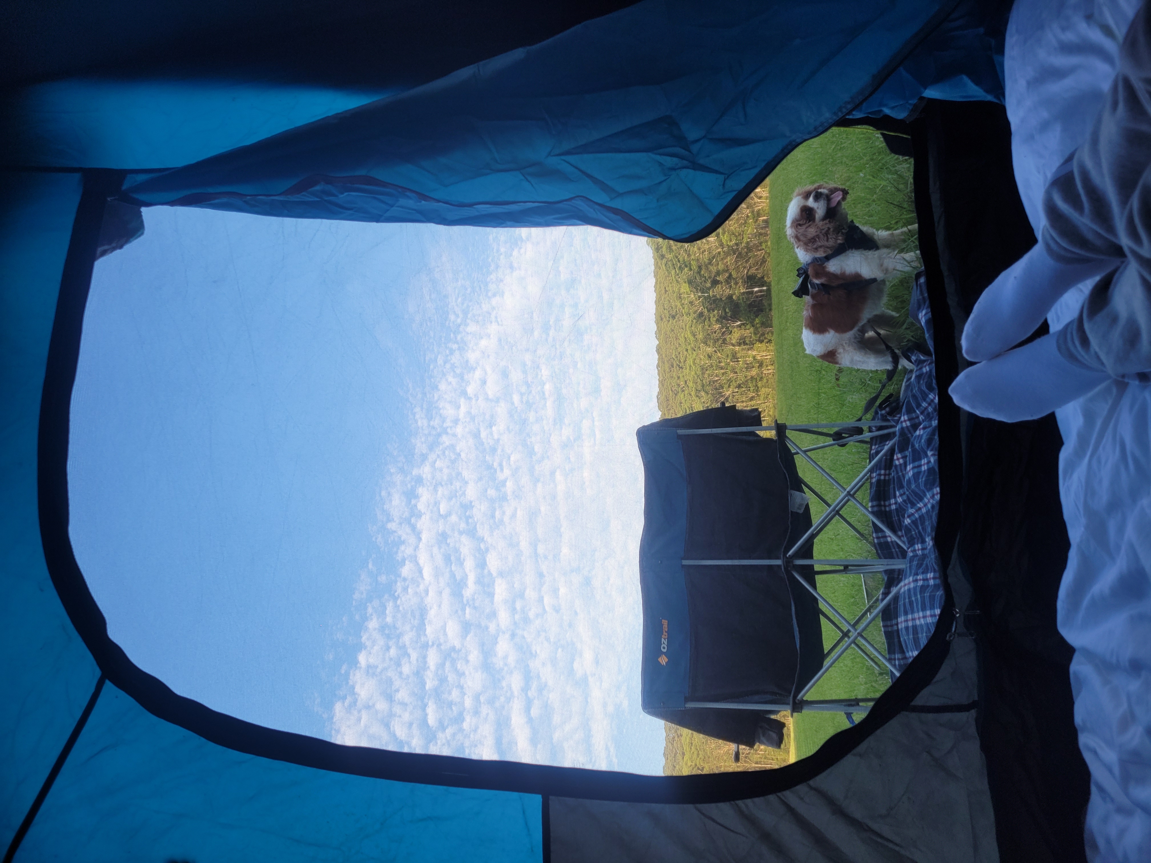 image-6