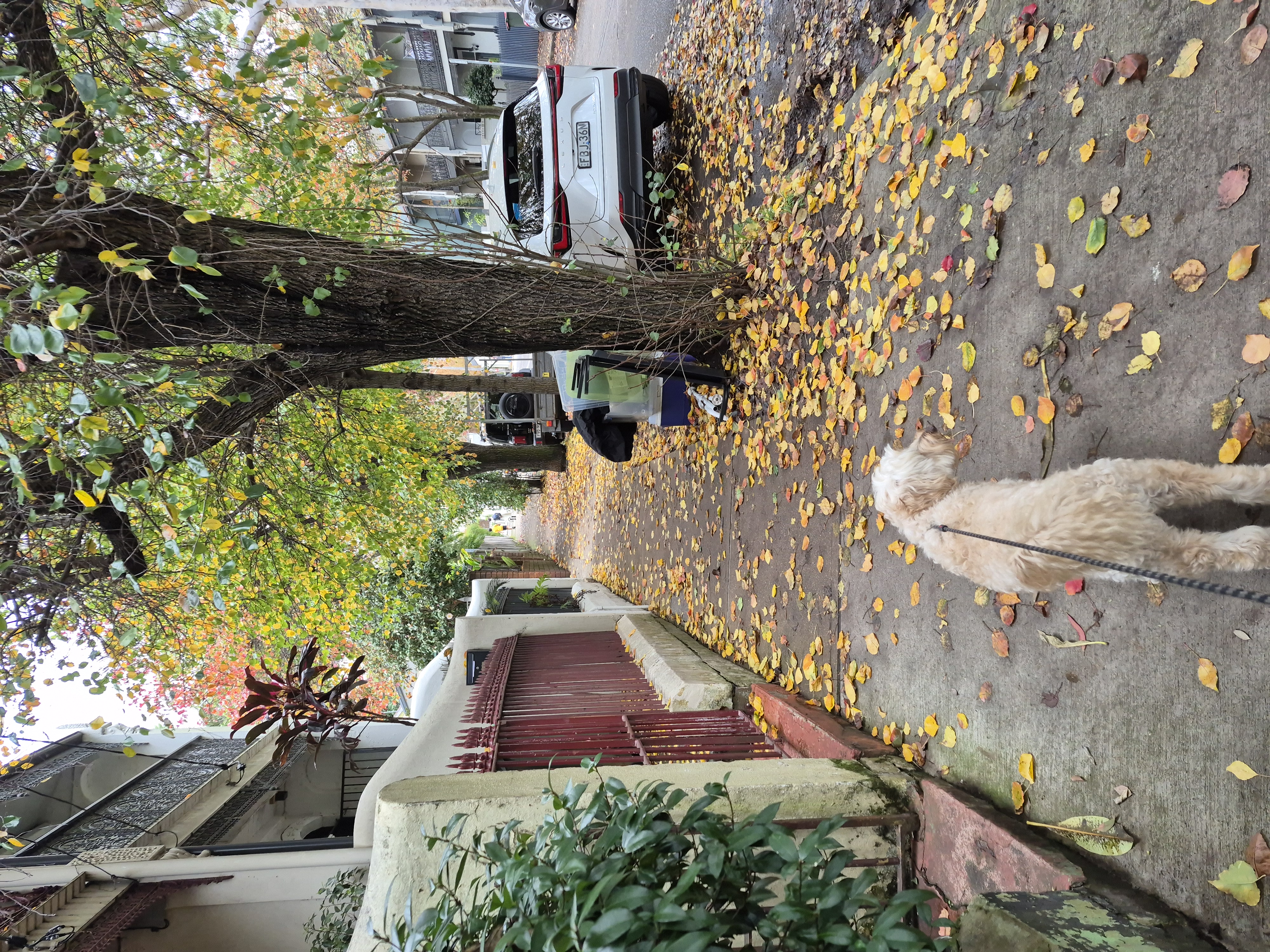 image-5