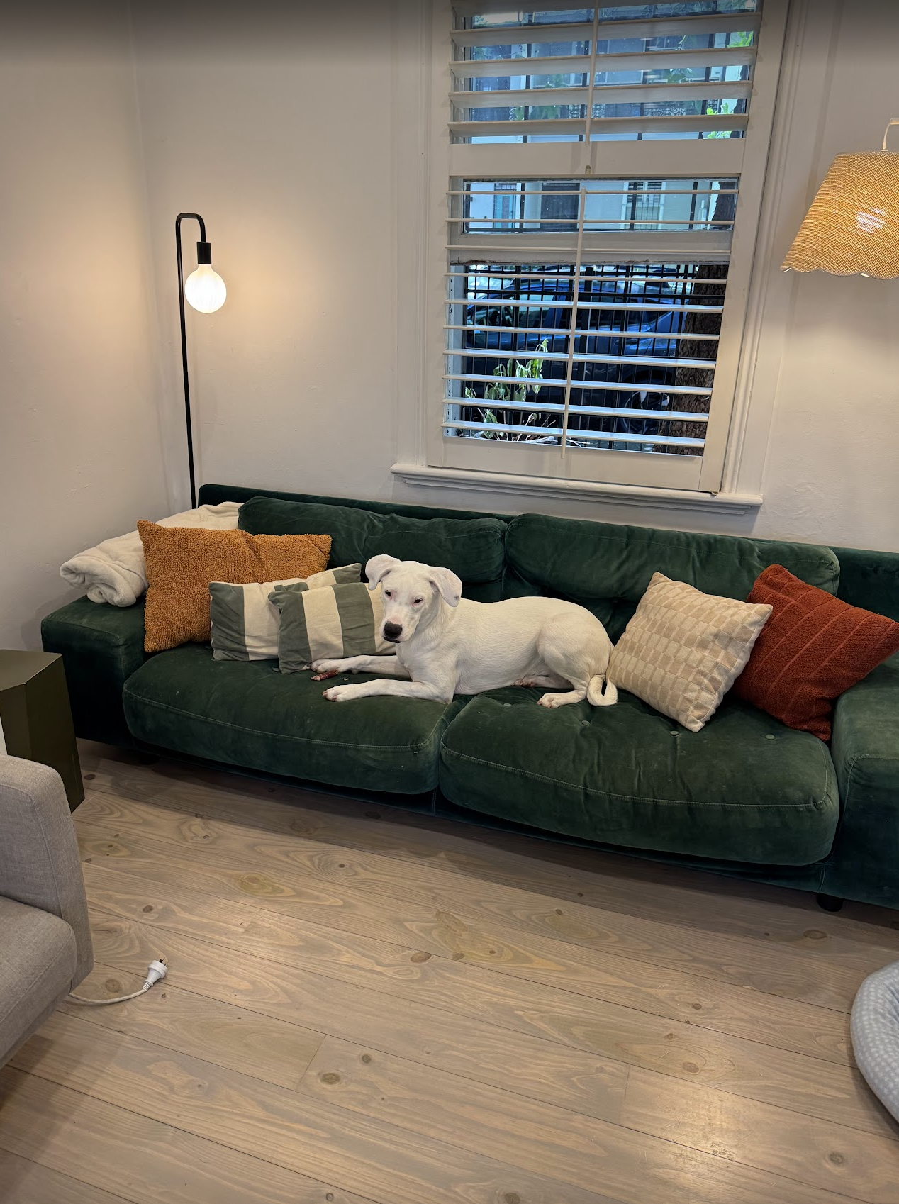 image-13