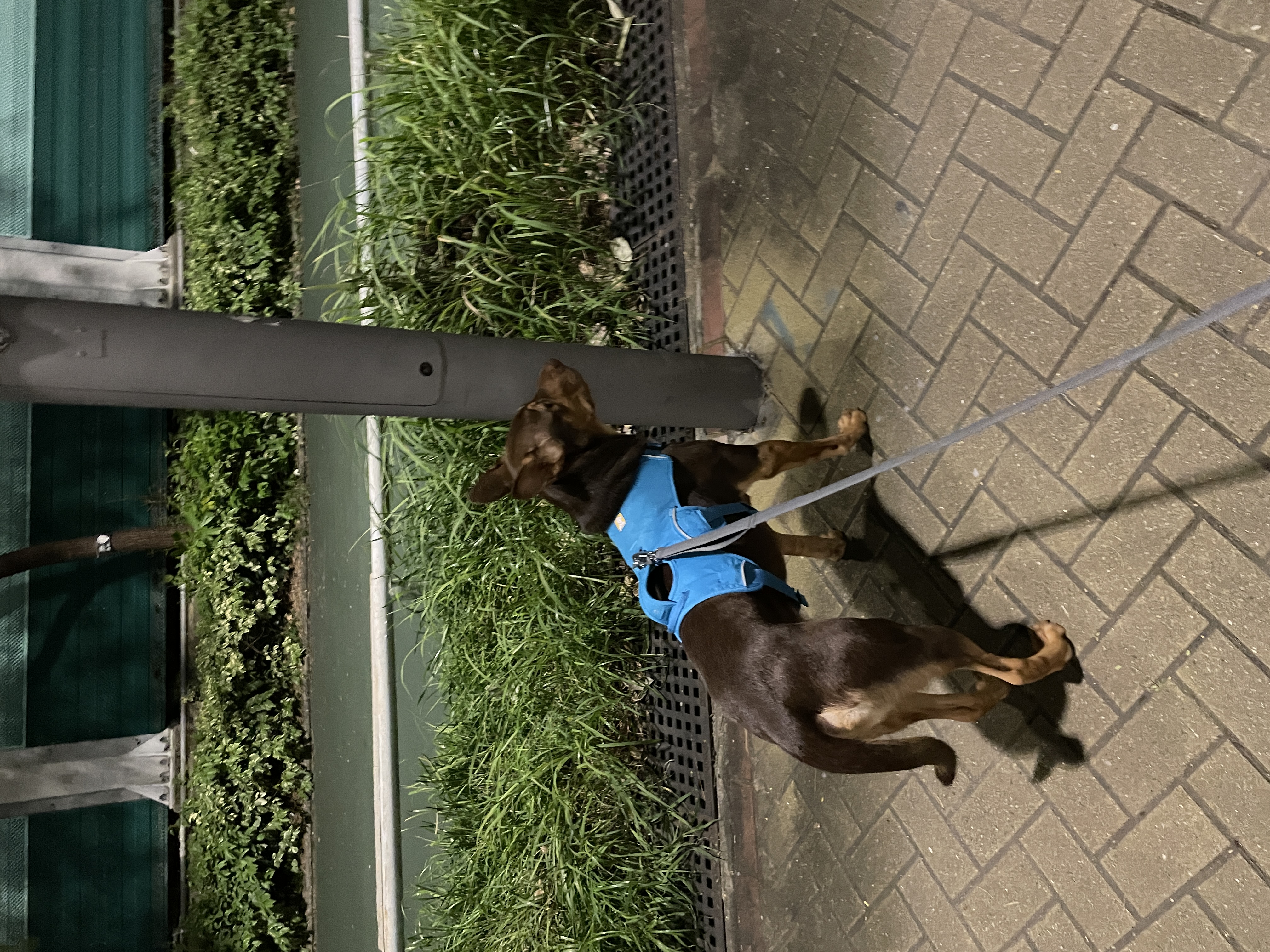 image-5