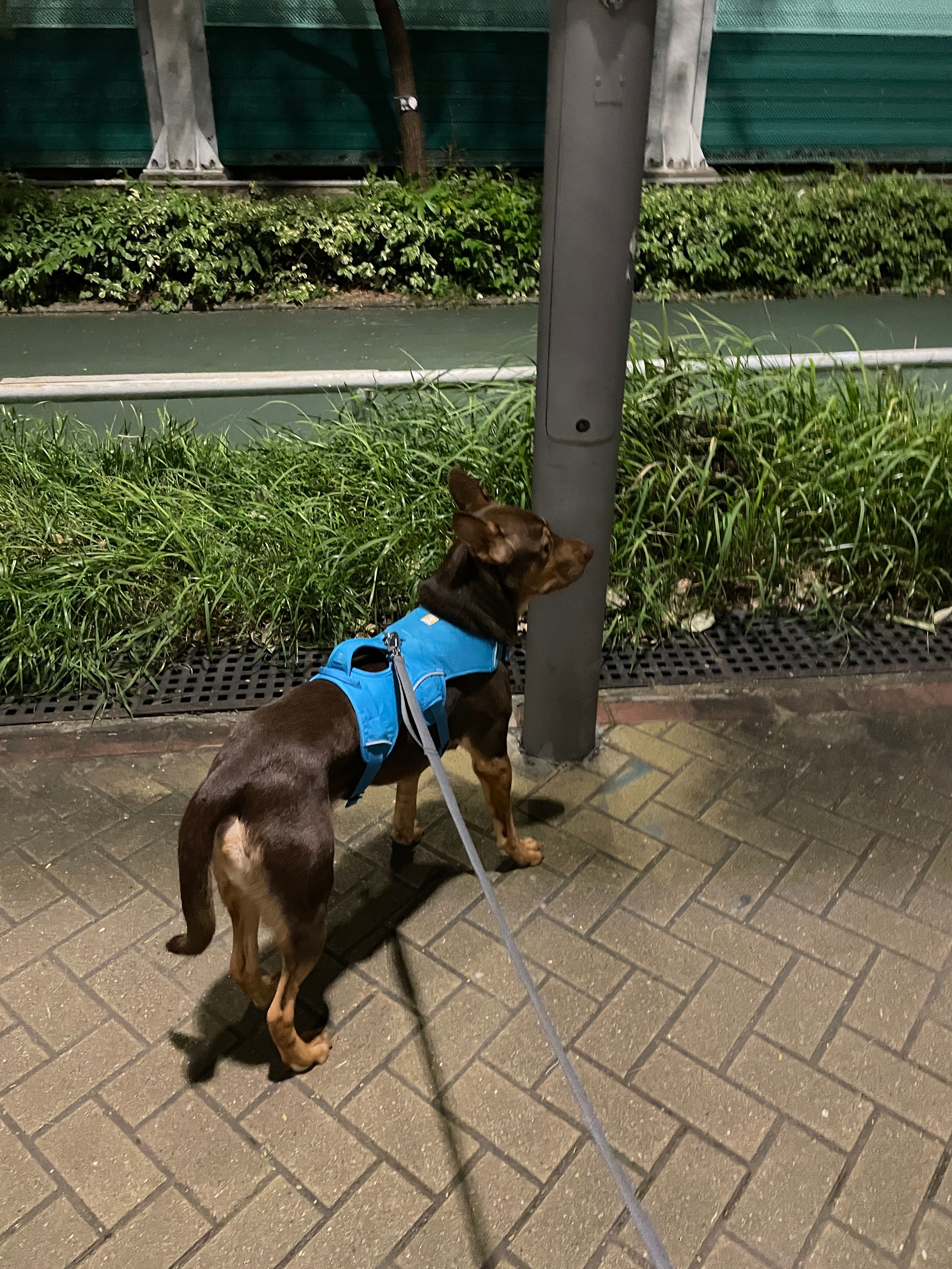 image-5