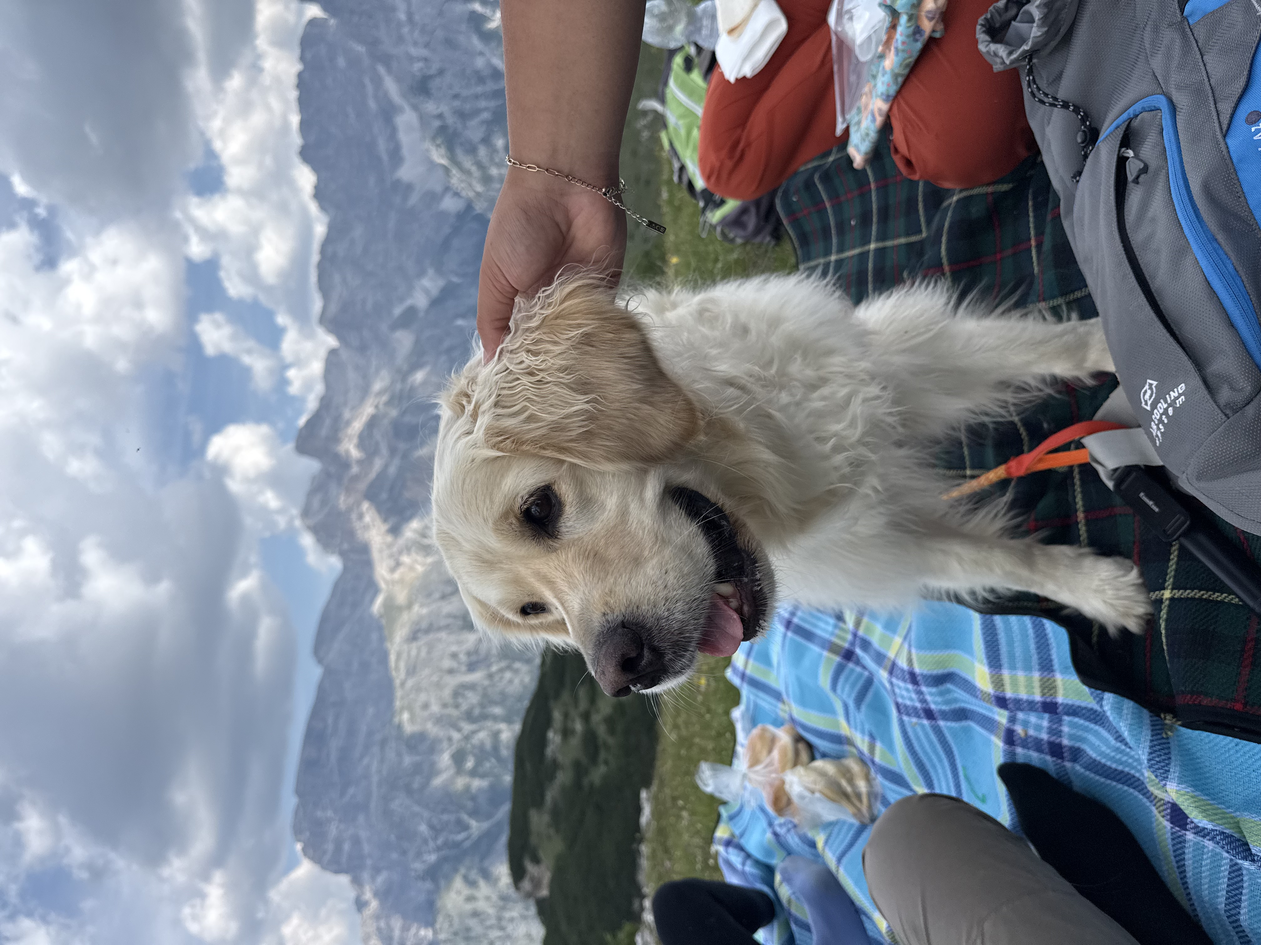 image-5