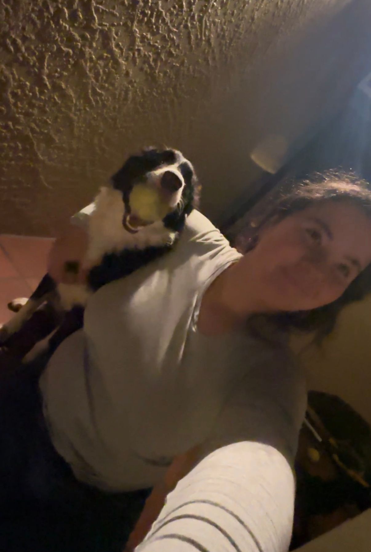 image-7