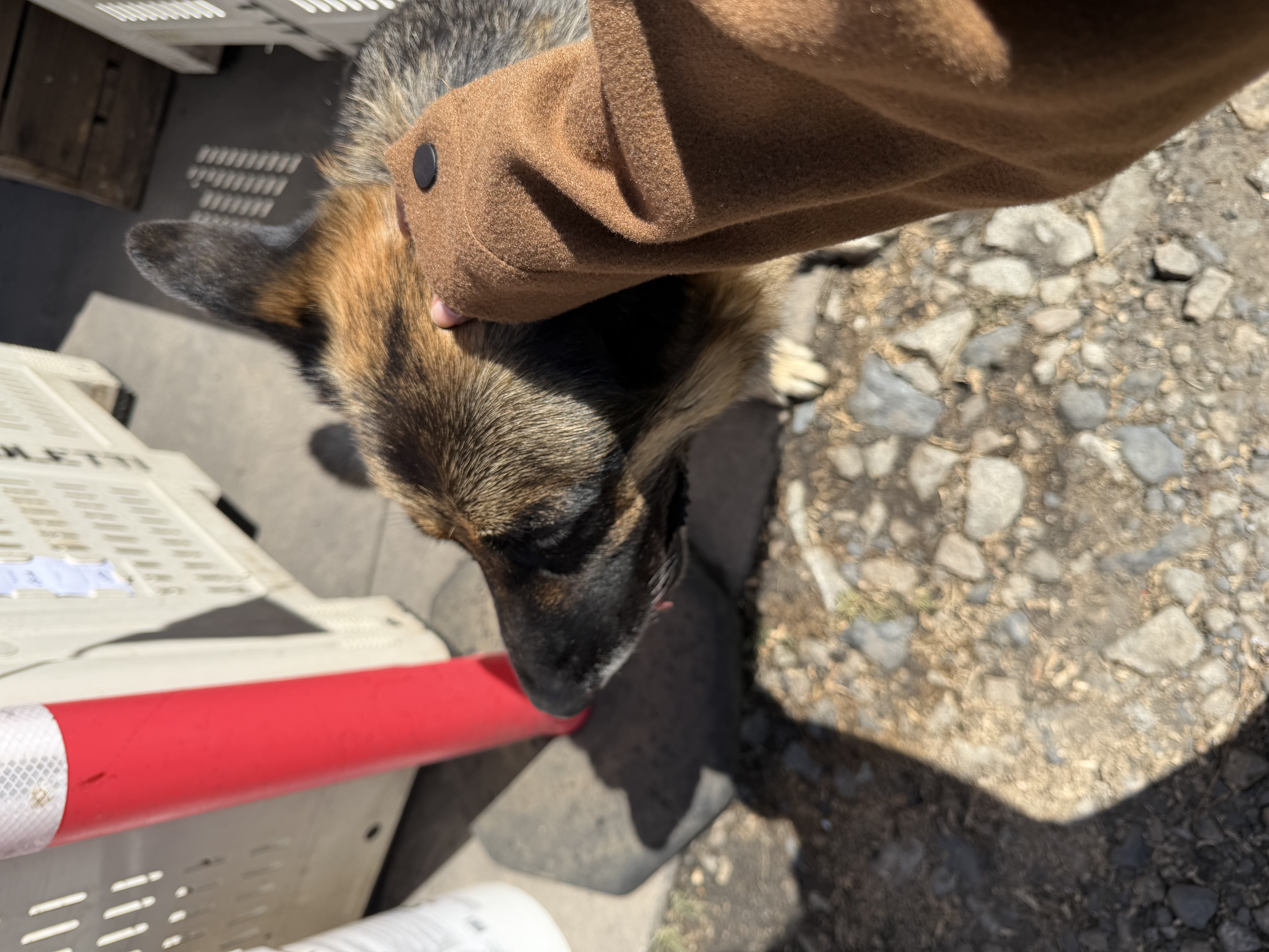 image-6