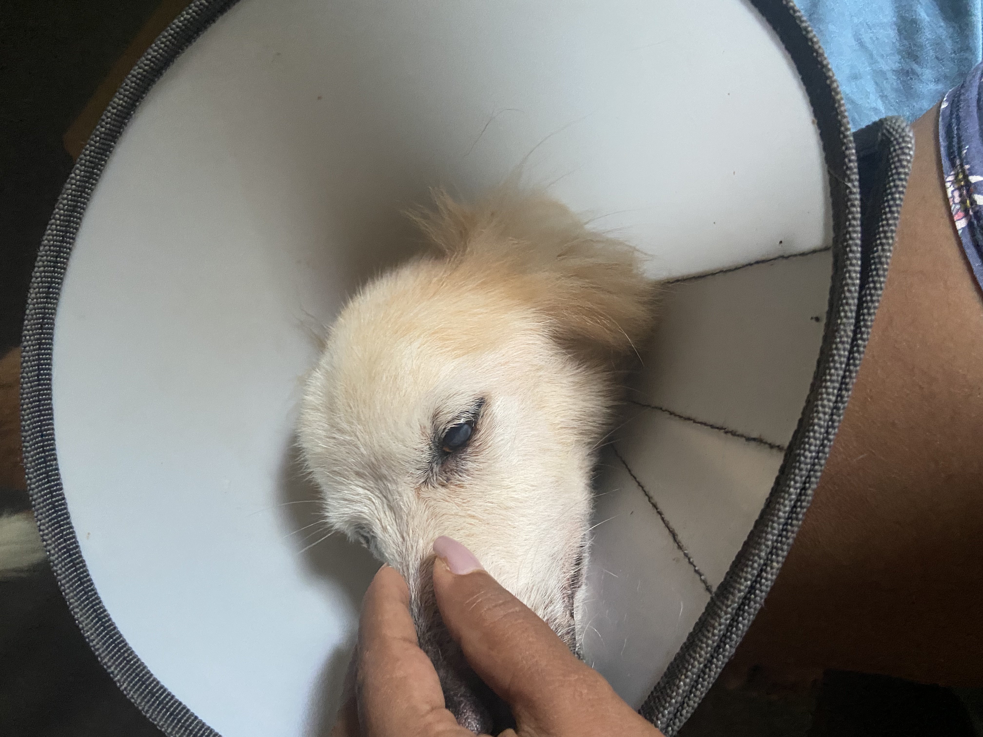 image-7