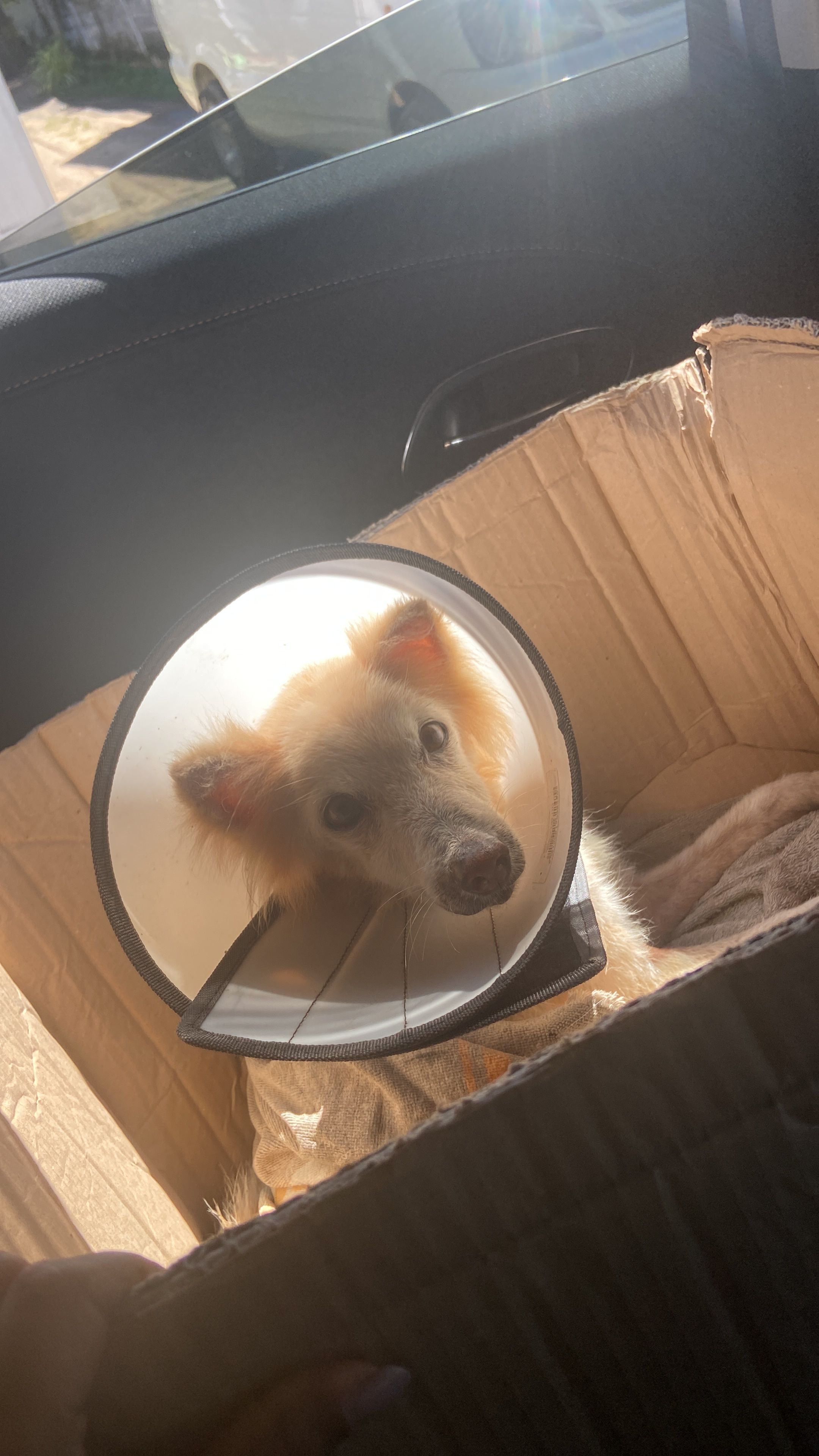image-8