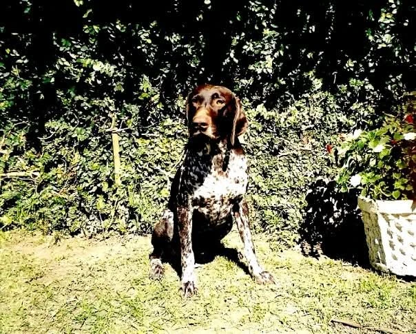 image-7