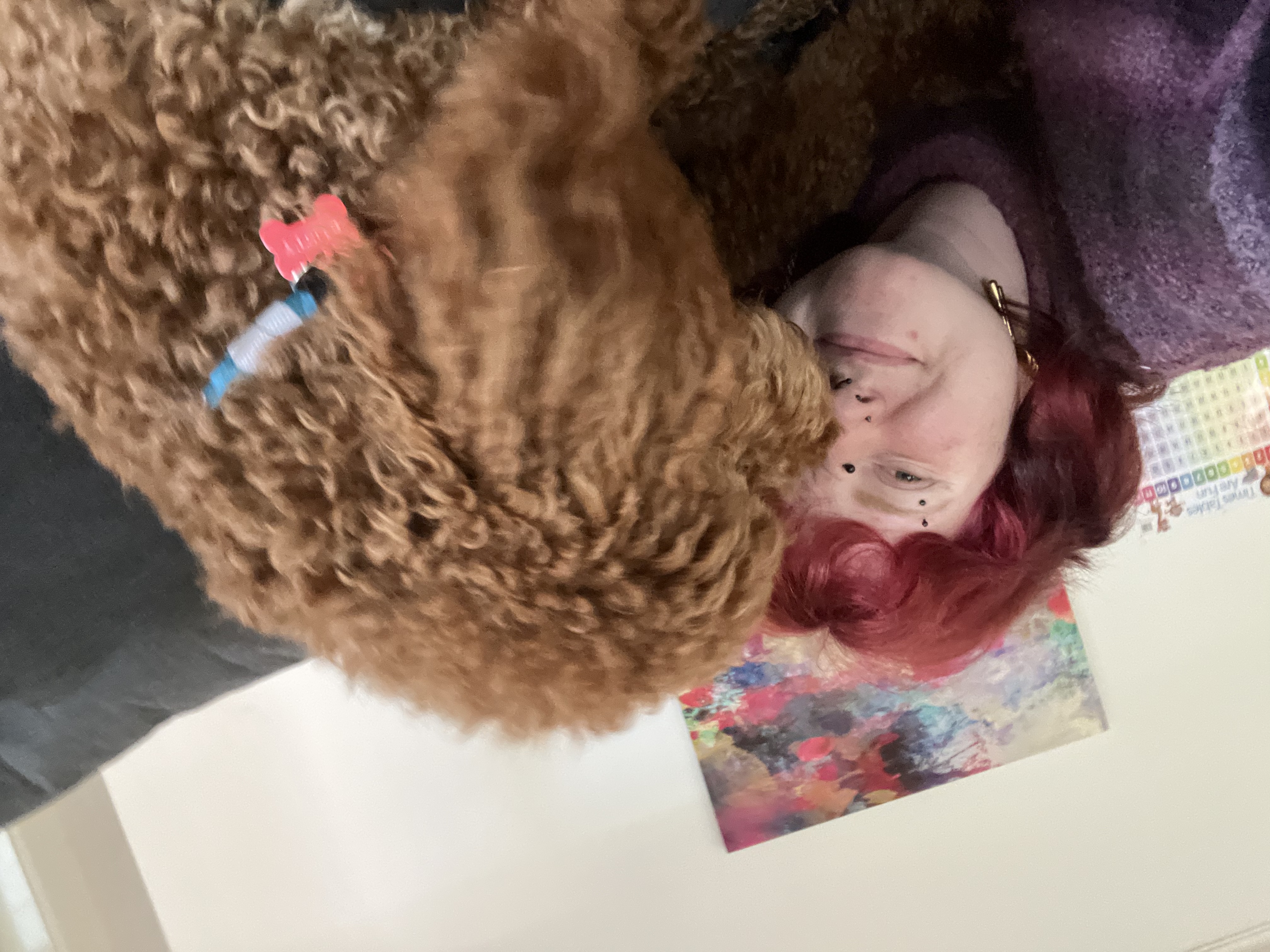 image-5