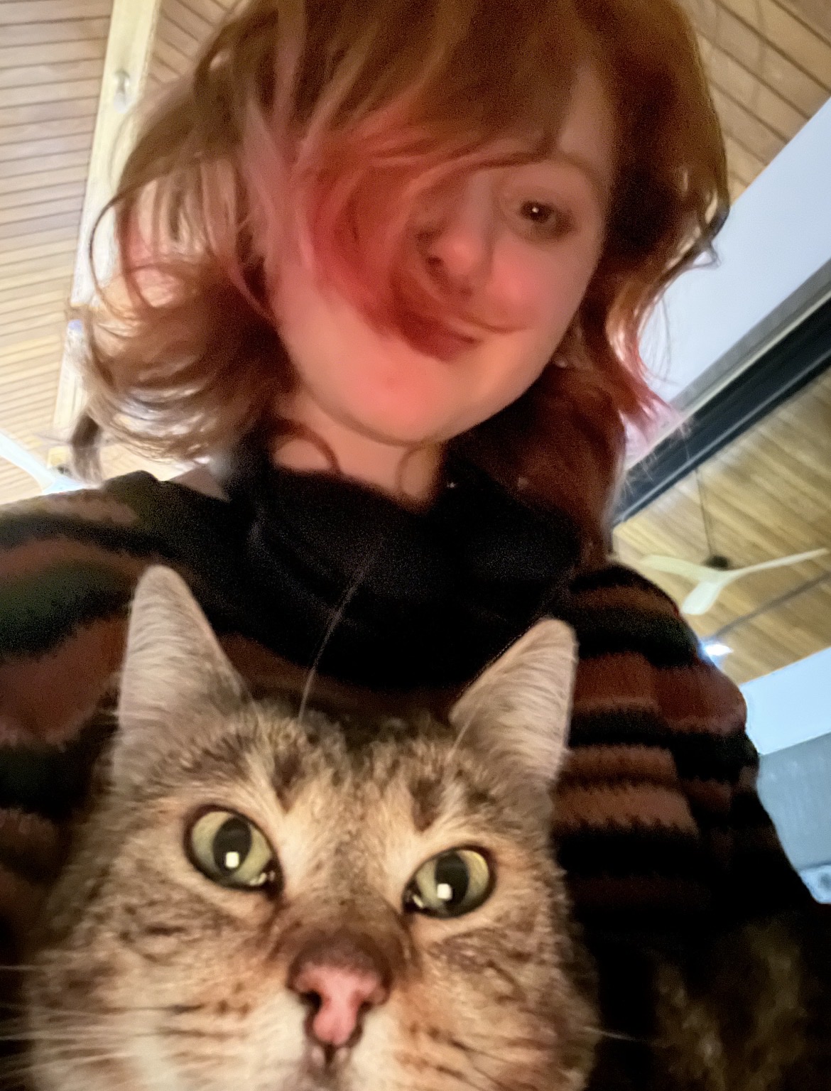 image-6