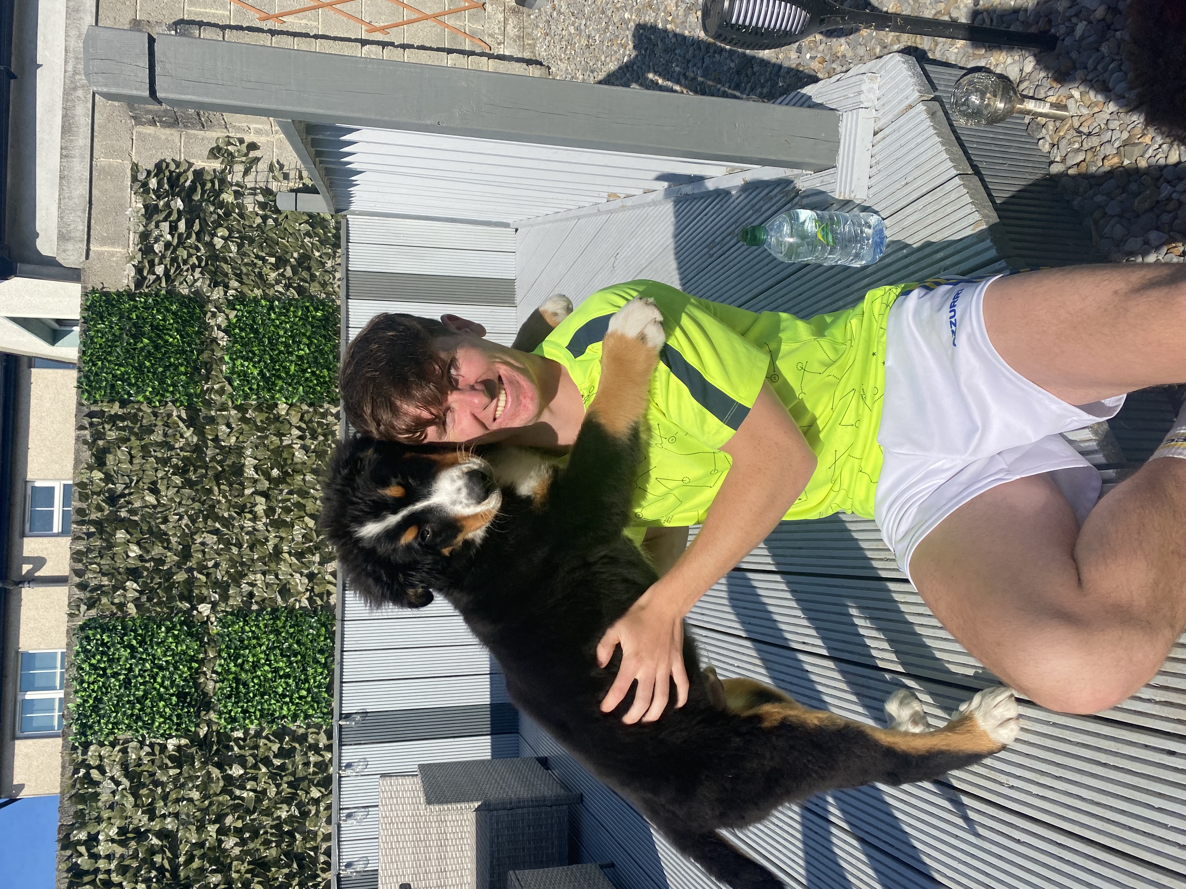 image-7