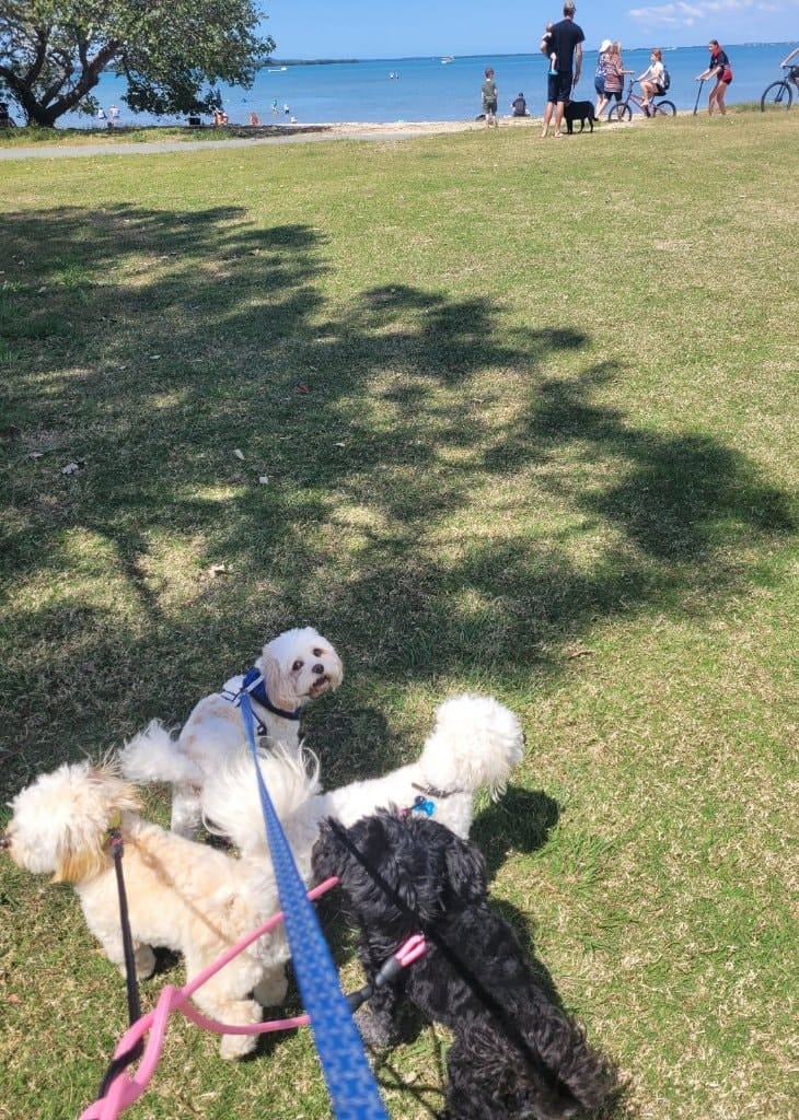image-48