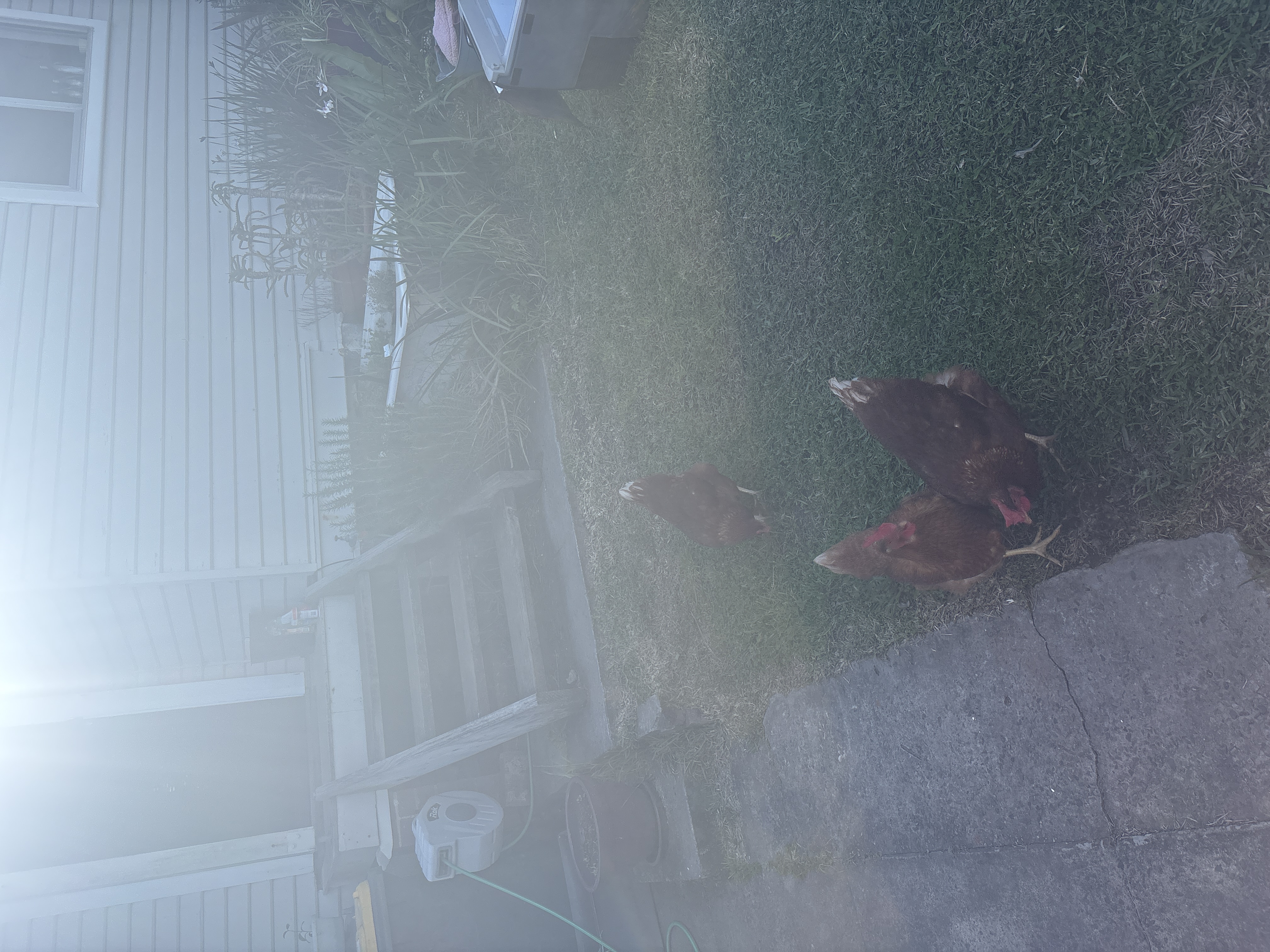 image-14
