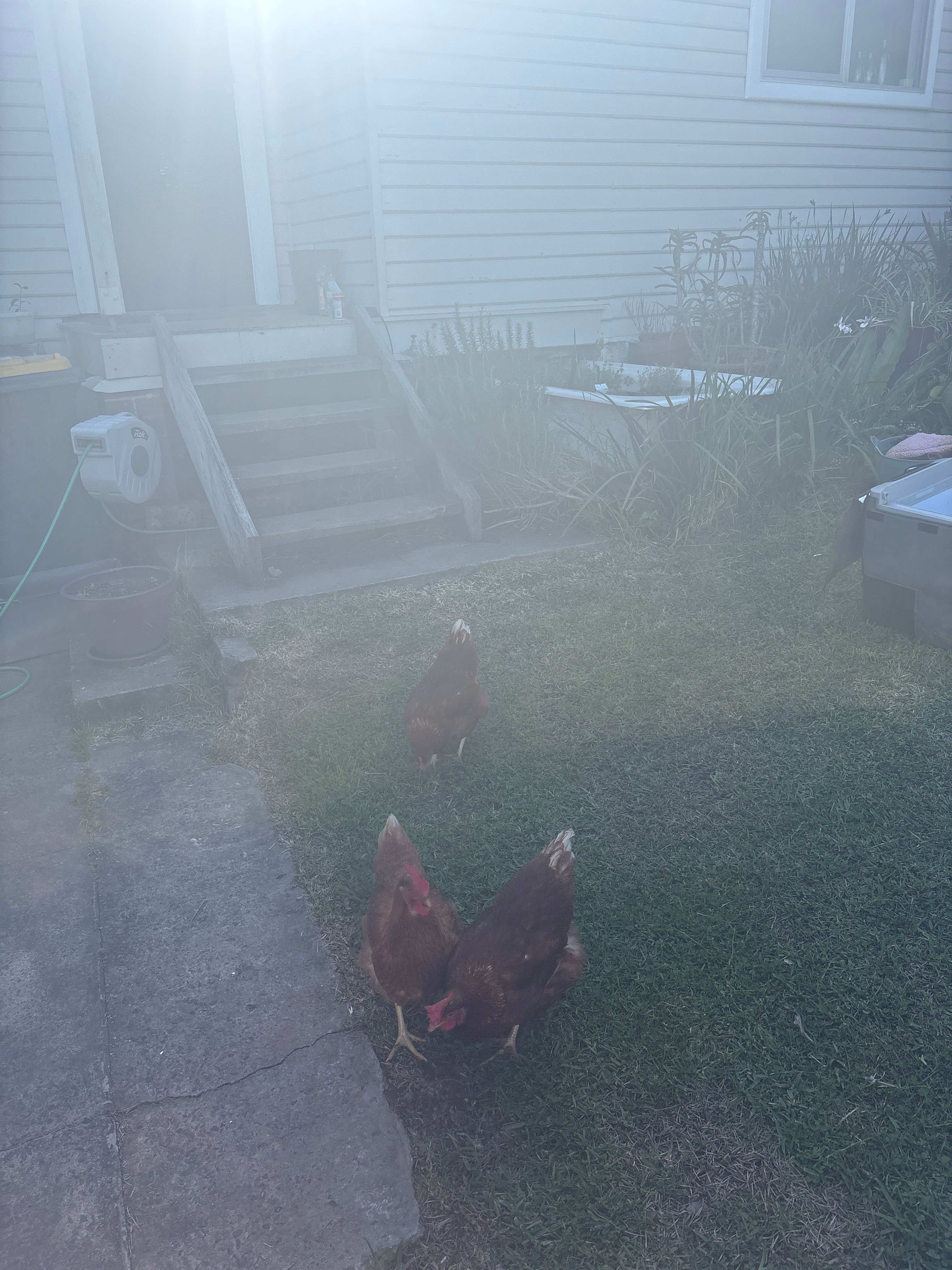 image-14