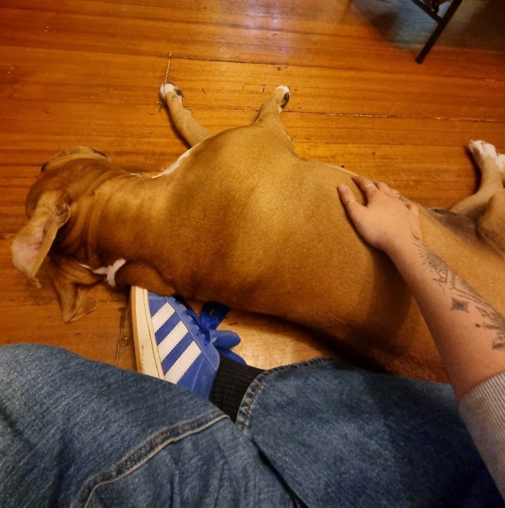 image-7