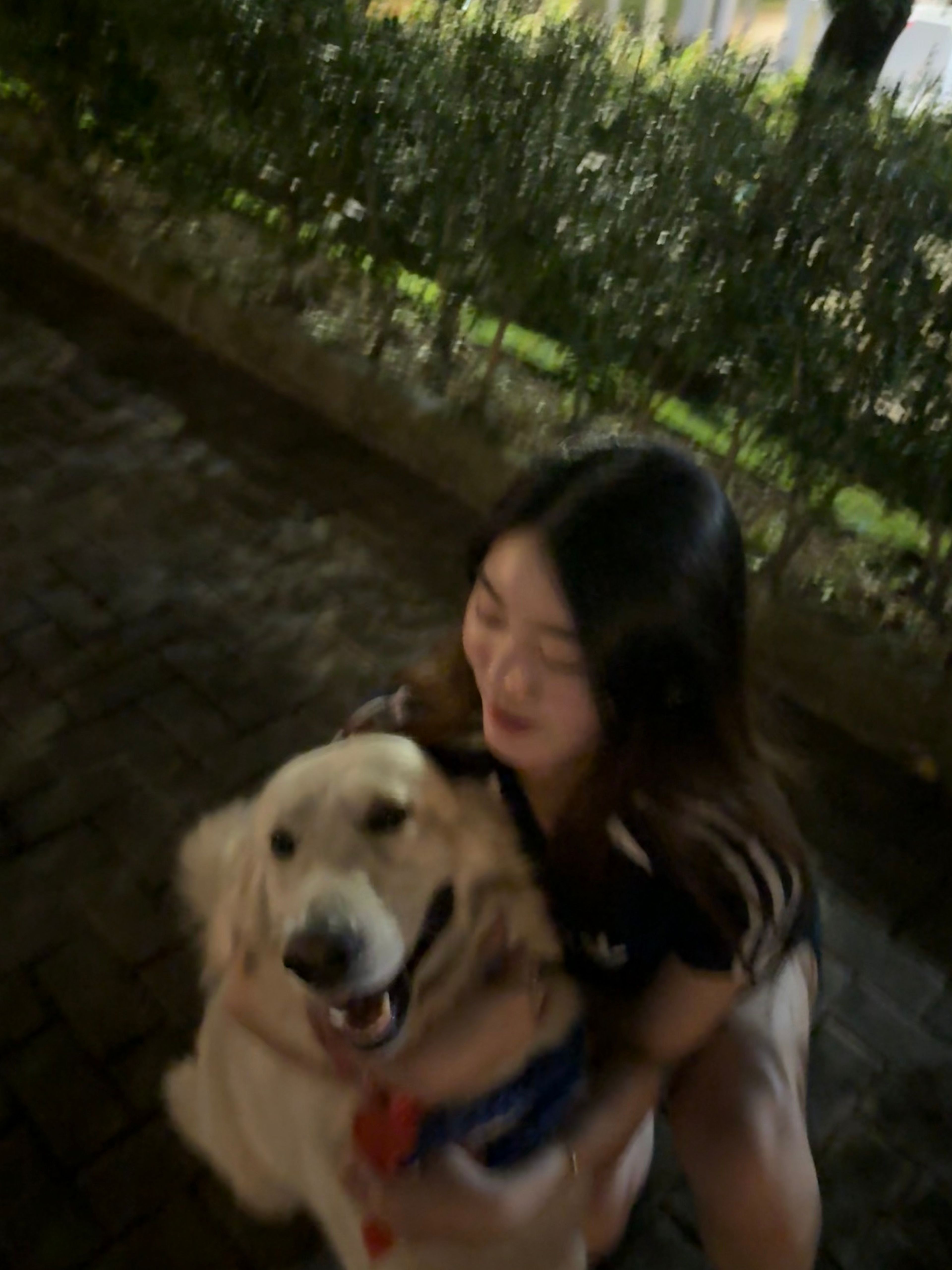 image-7