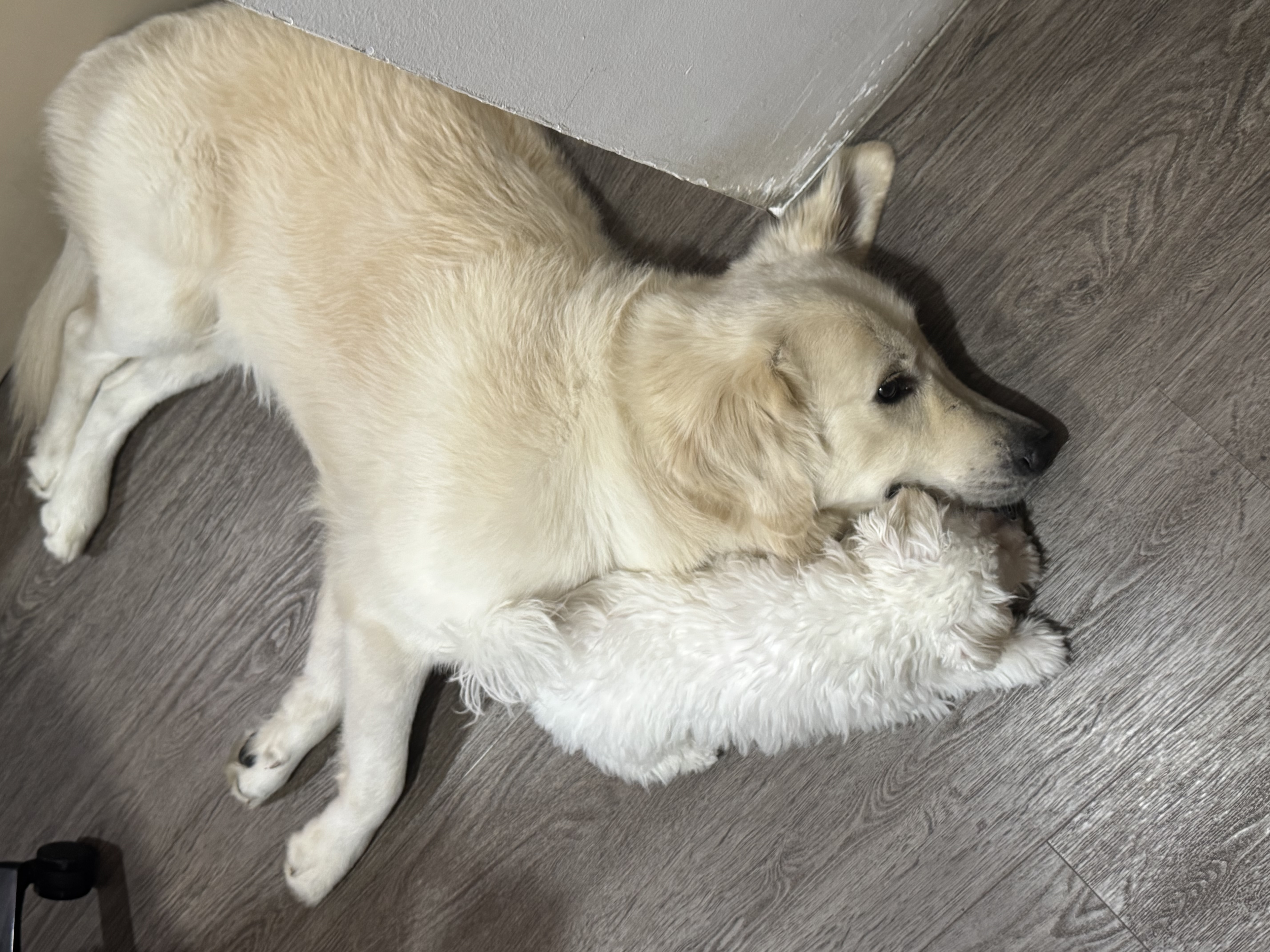 image-6
