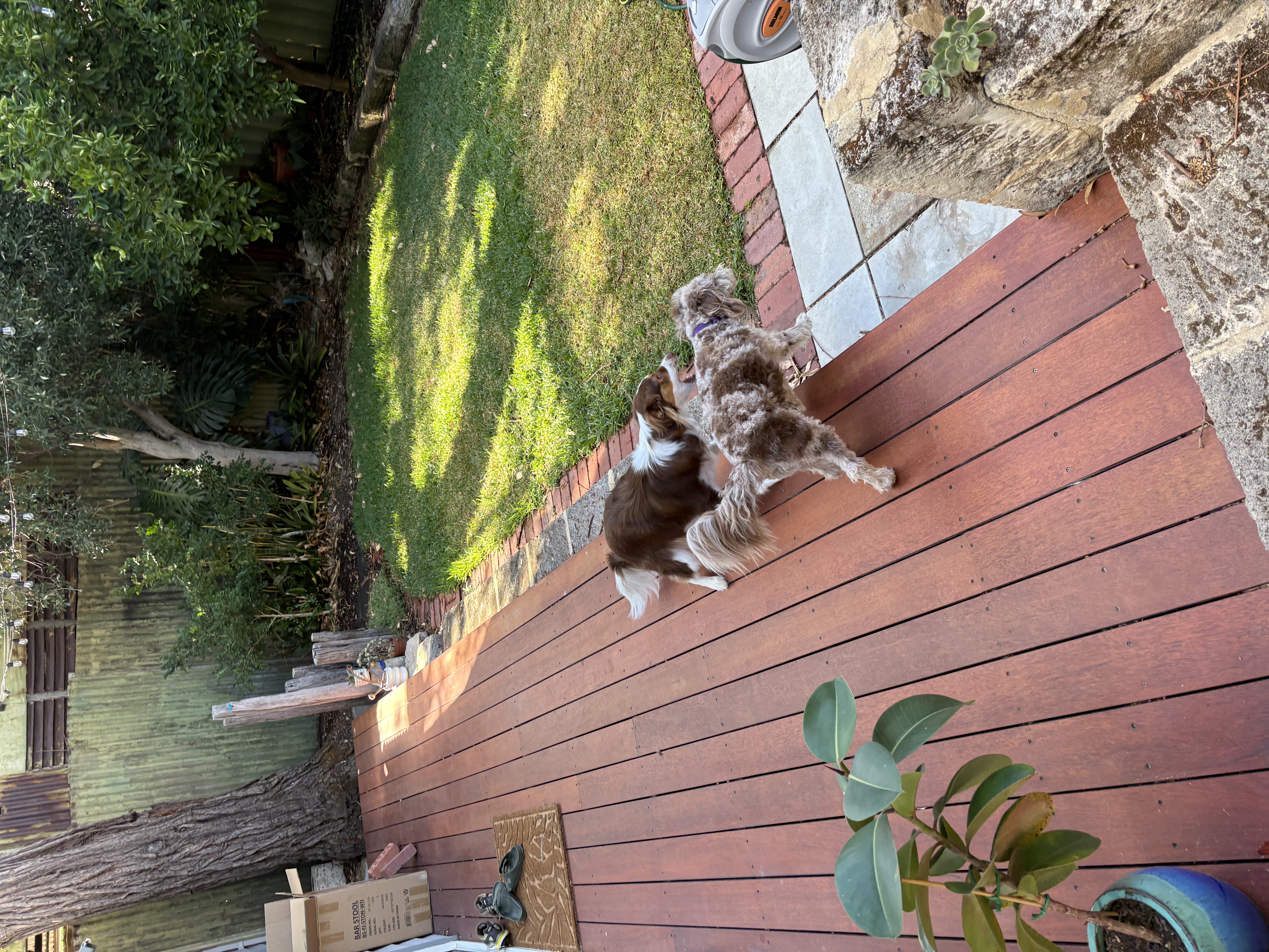 image-19