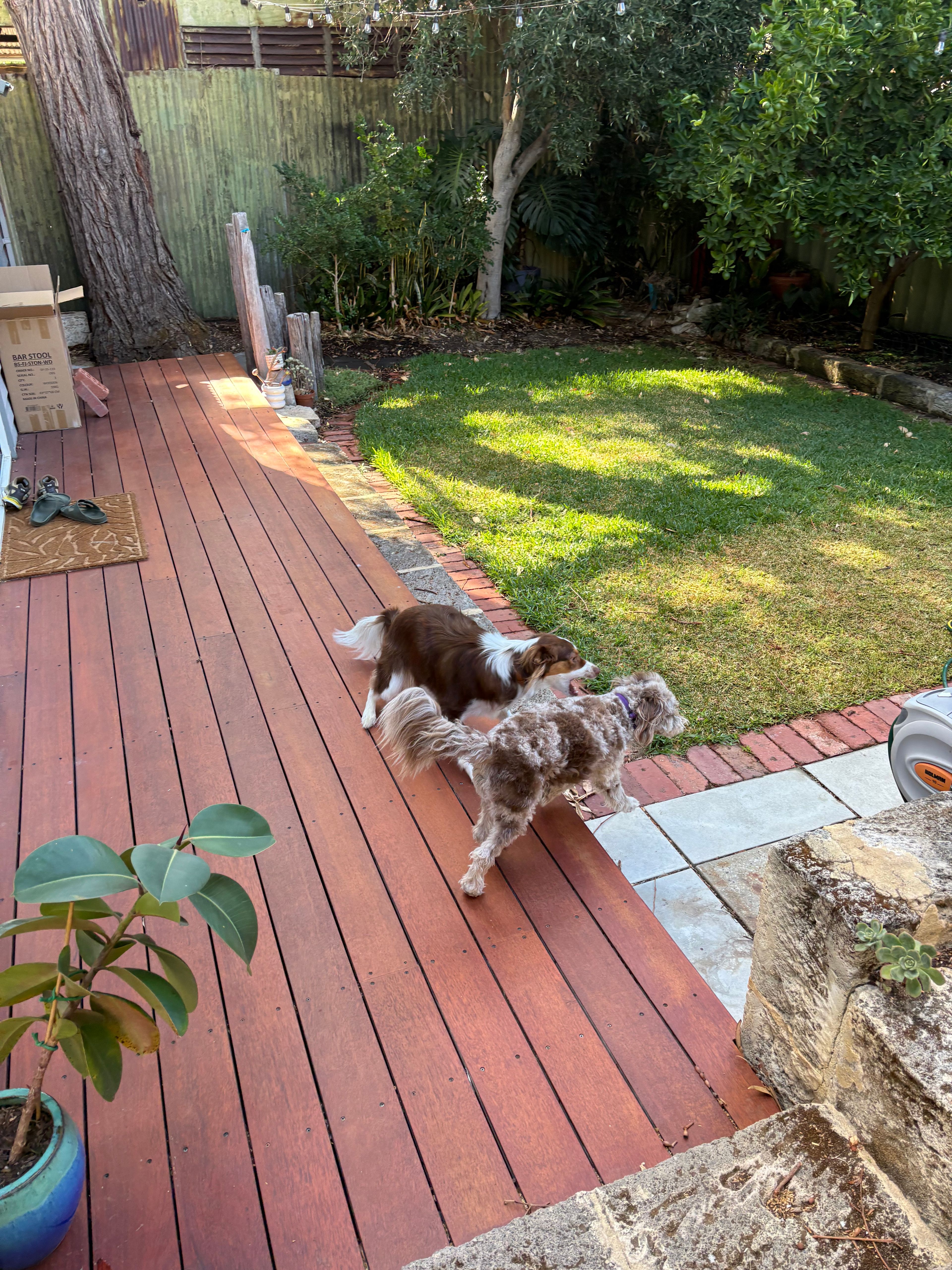 image-19