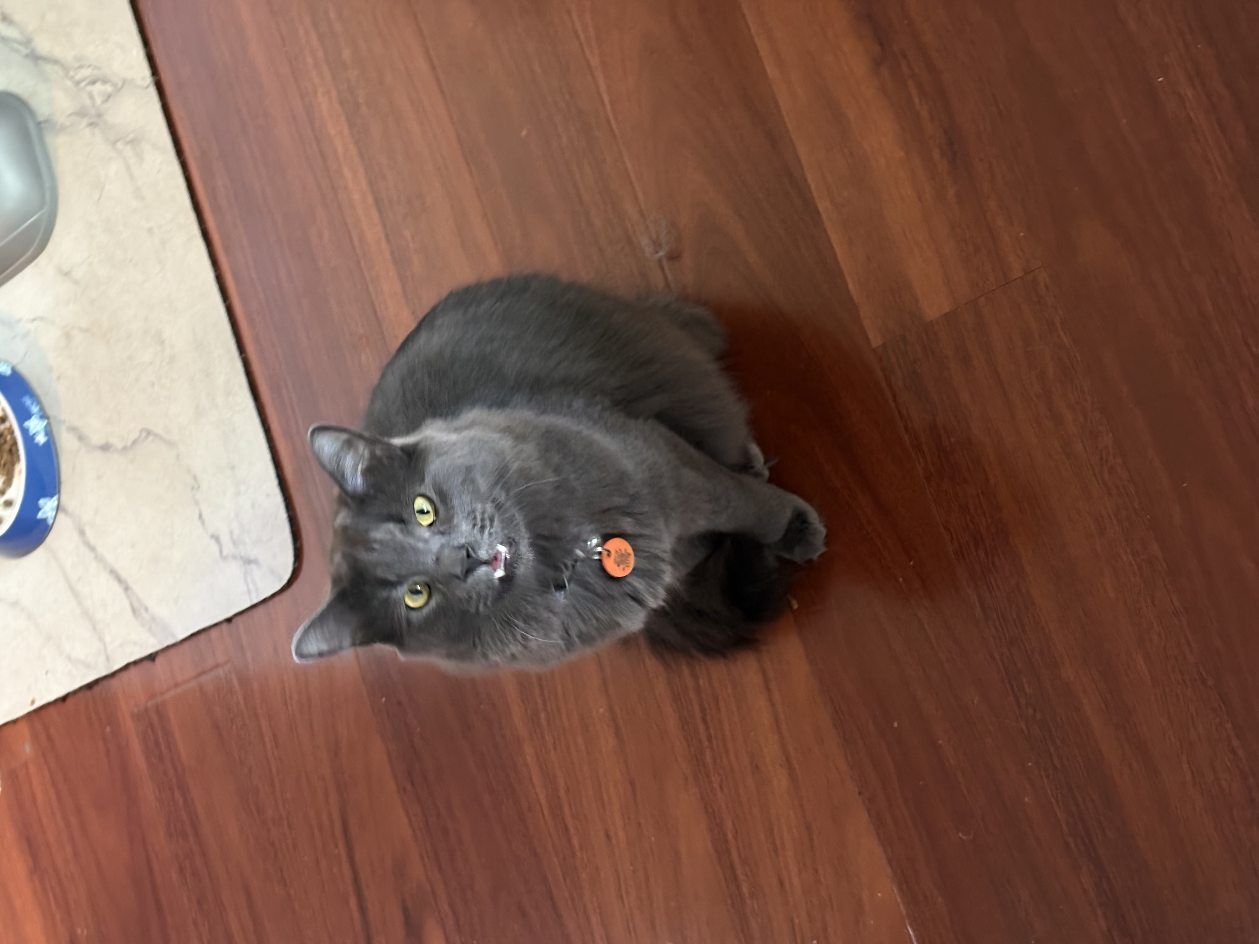 image-11