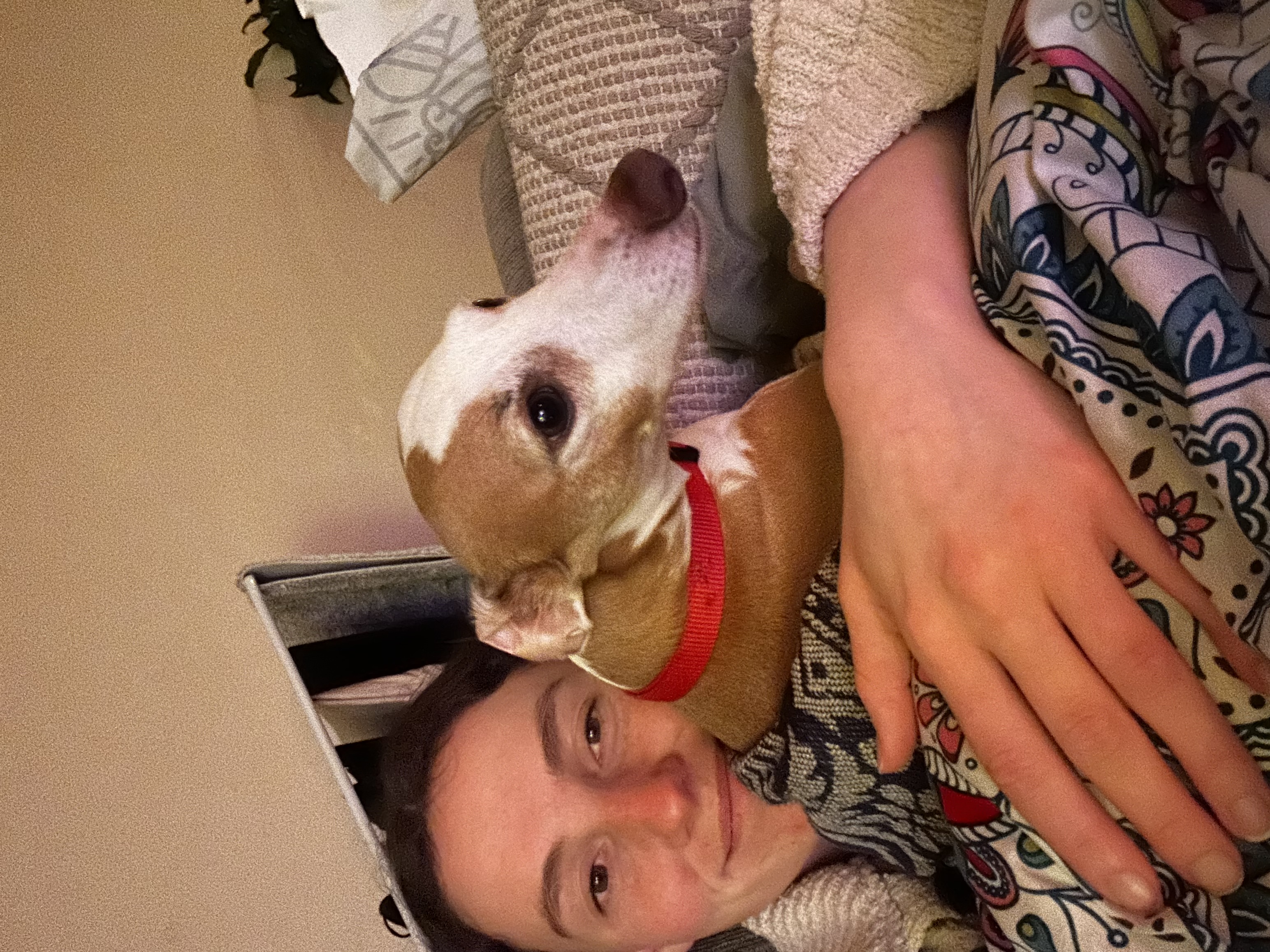 image-8