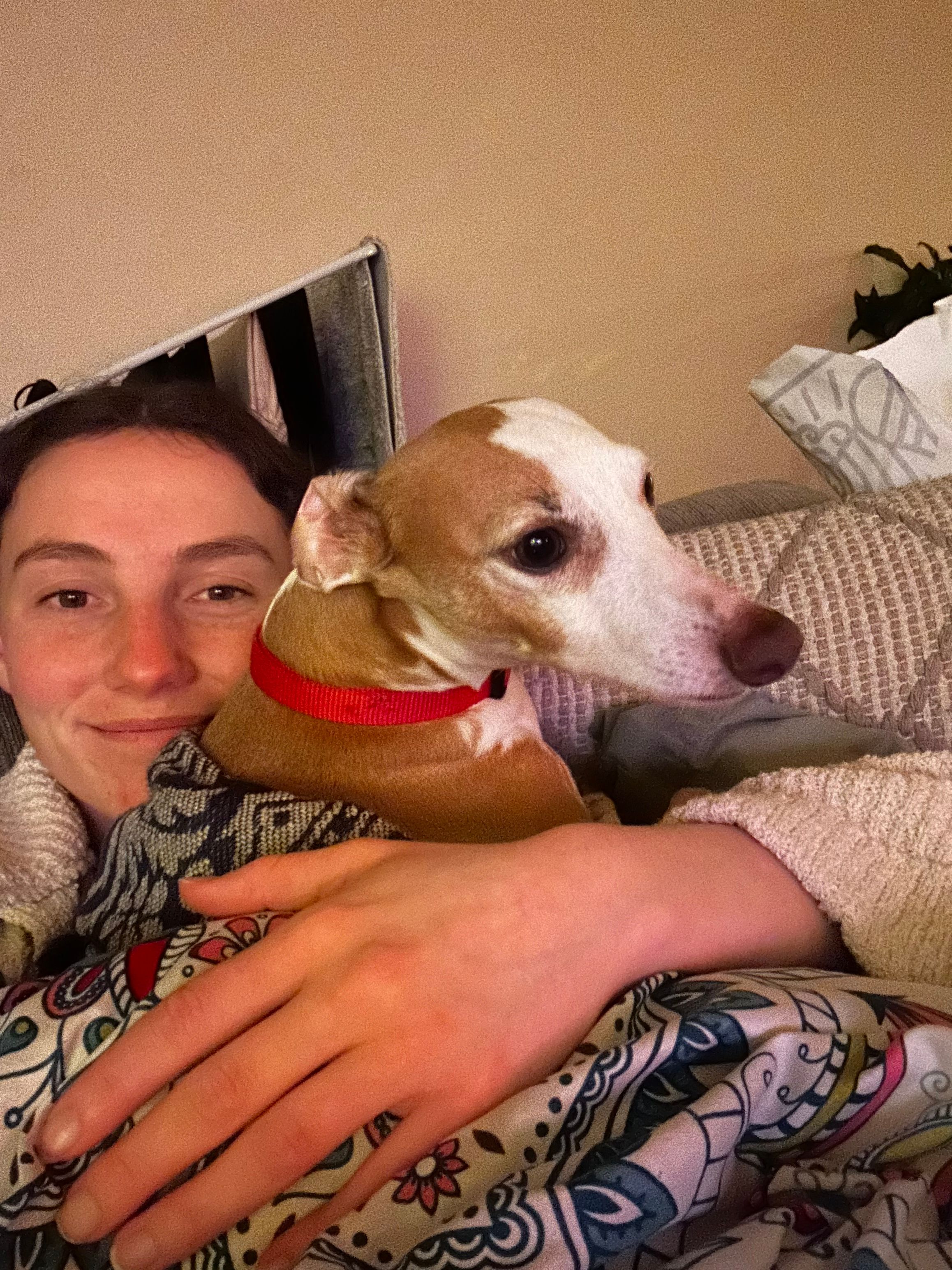image-8