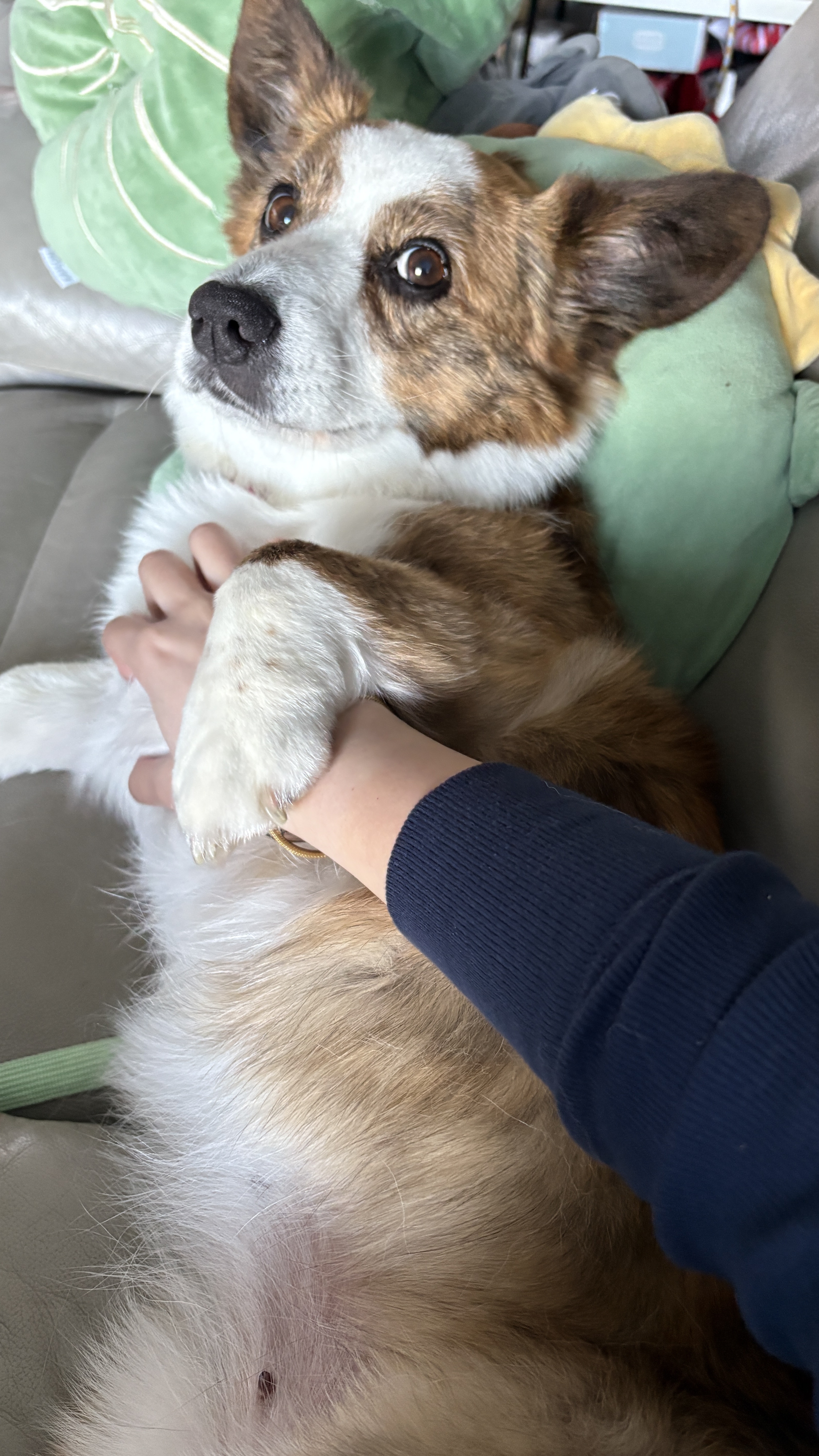 image-6