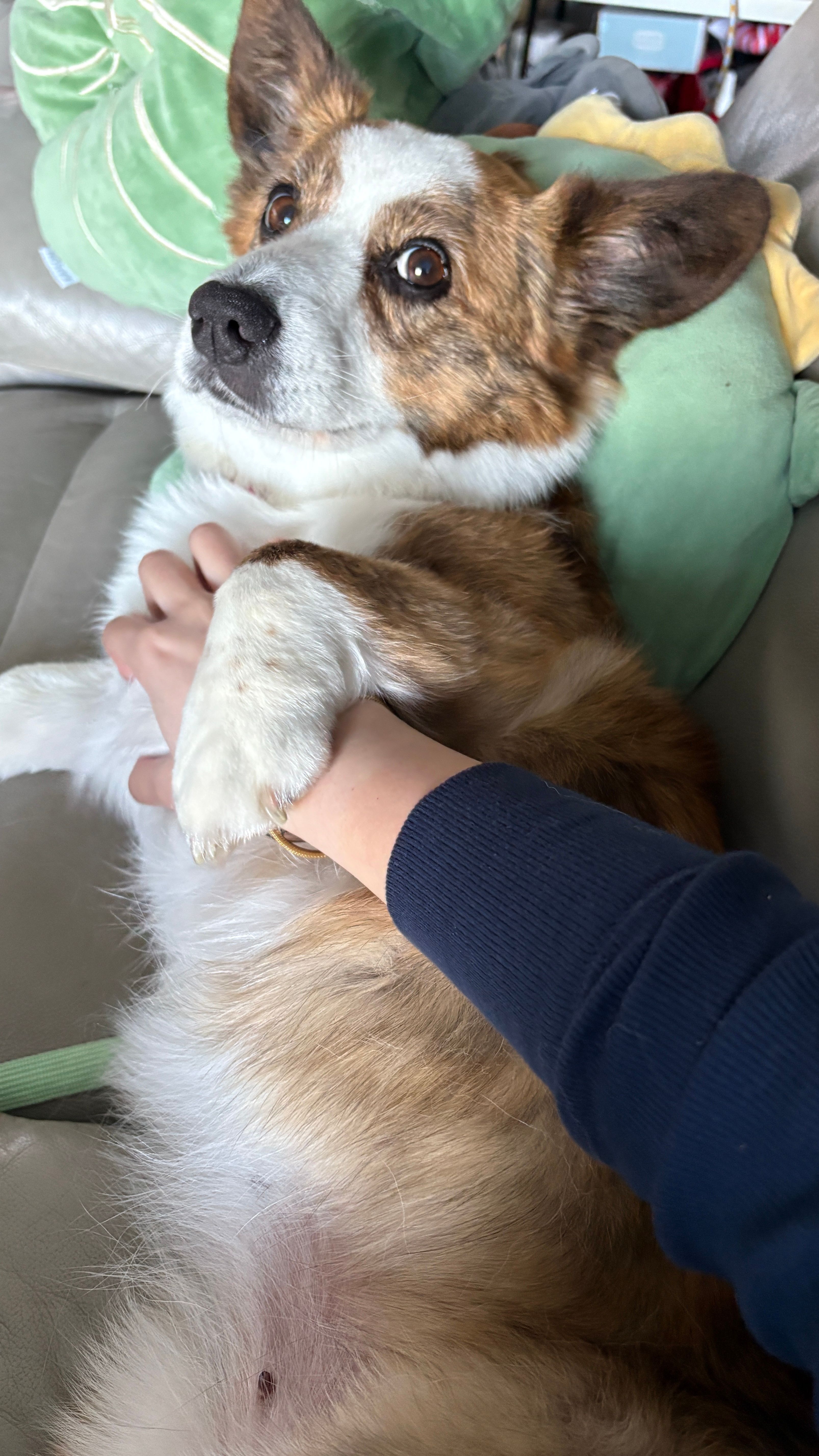 image-6