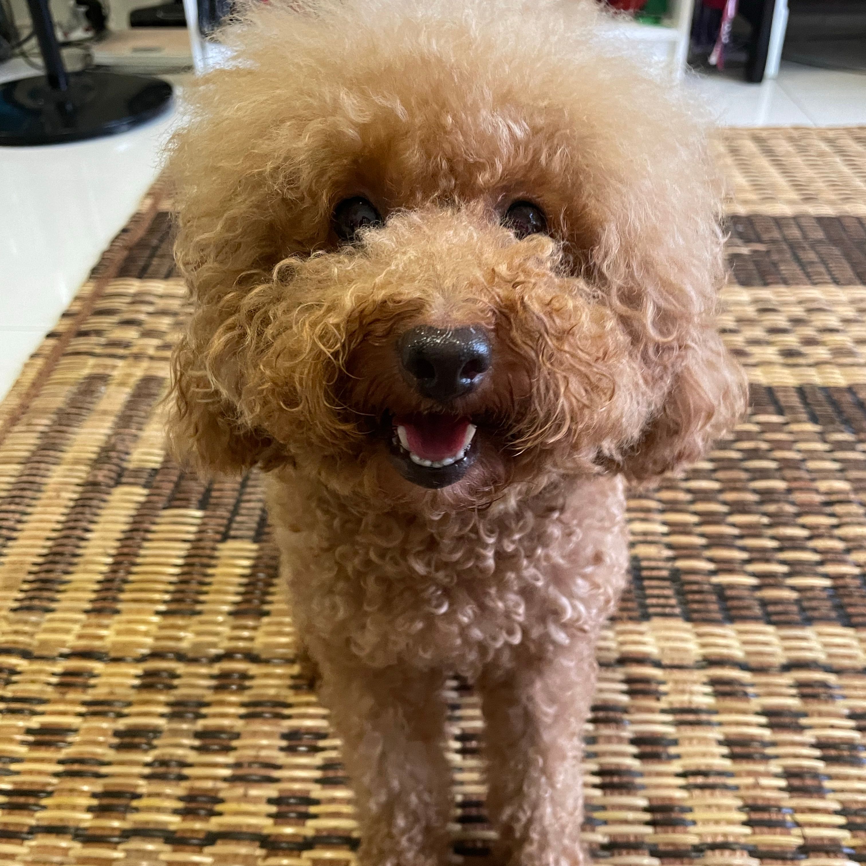 Bailey