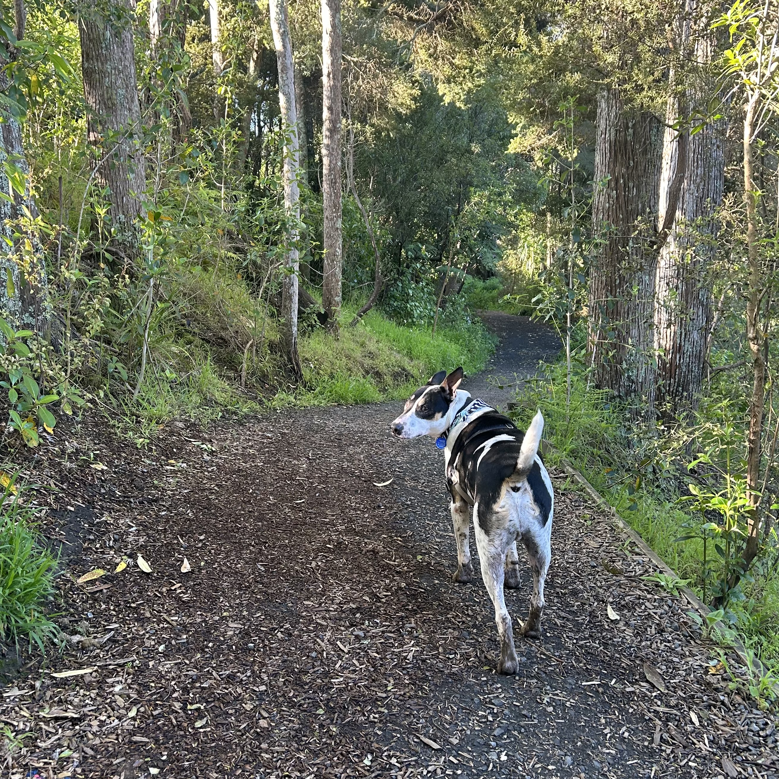 image-5