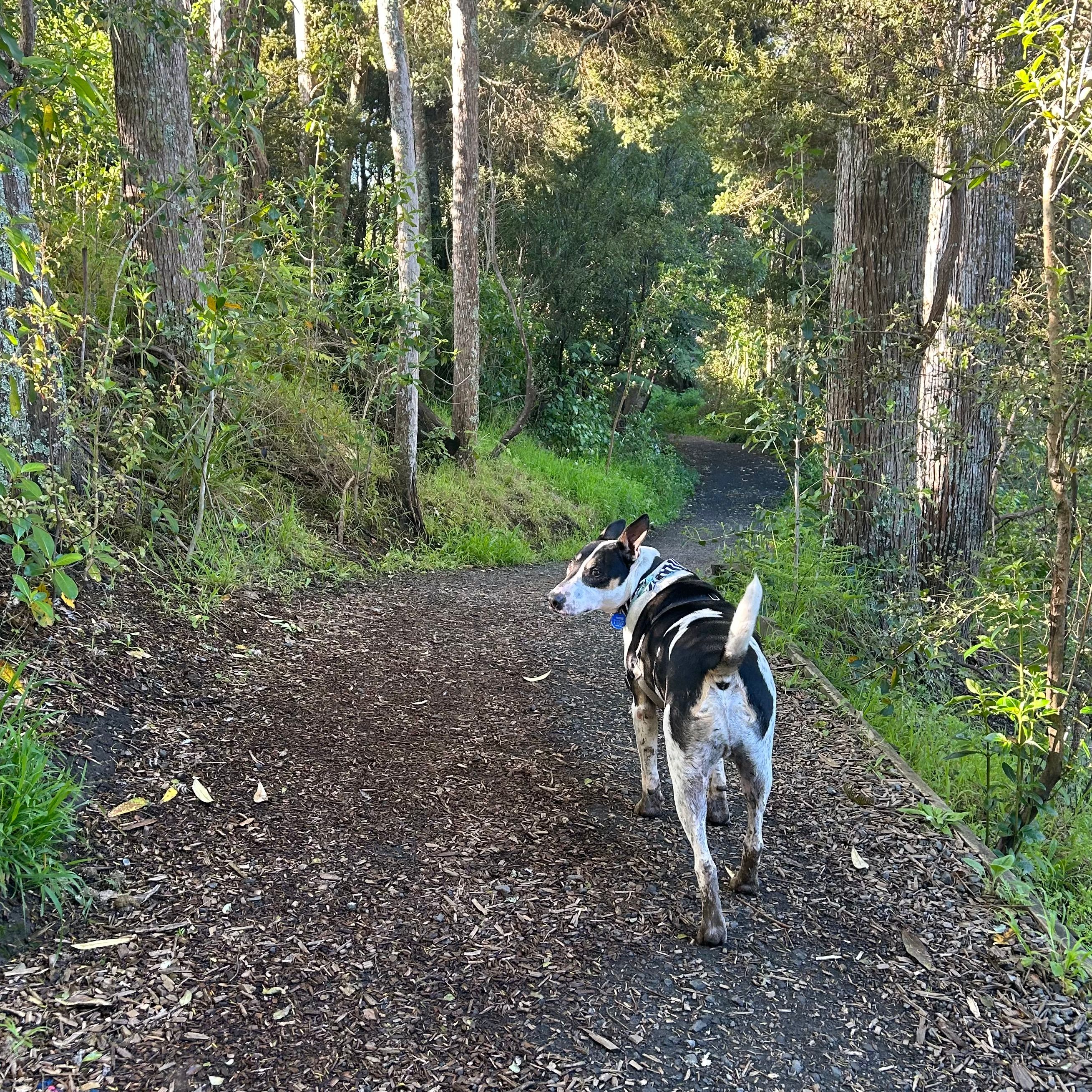 image-5