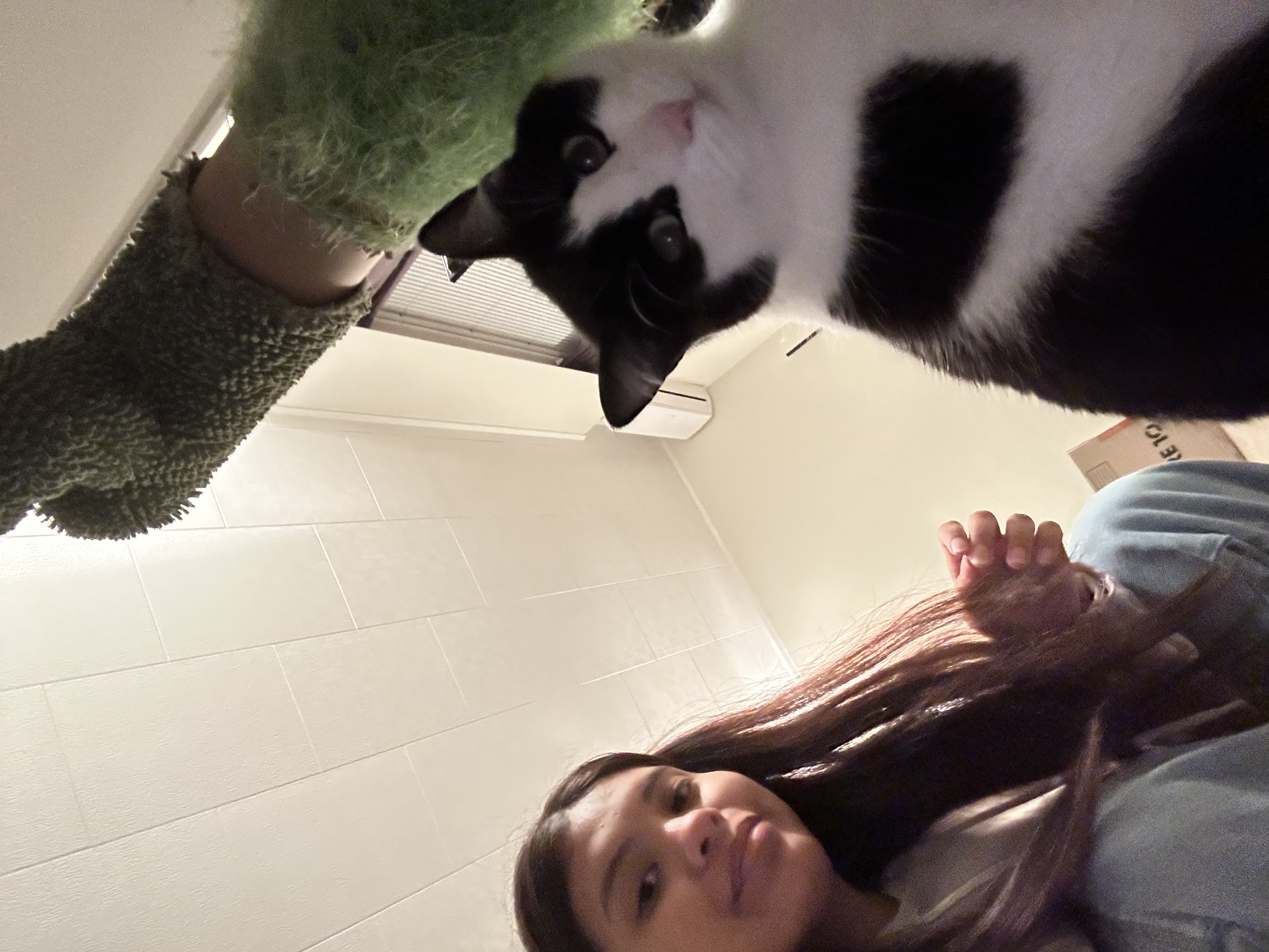 image-7