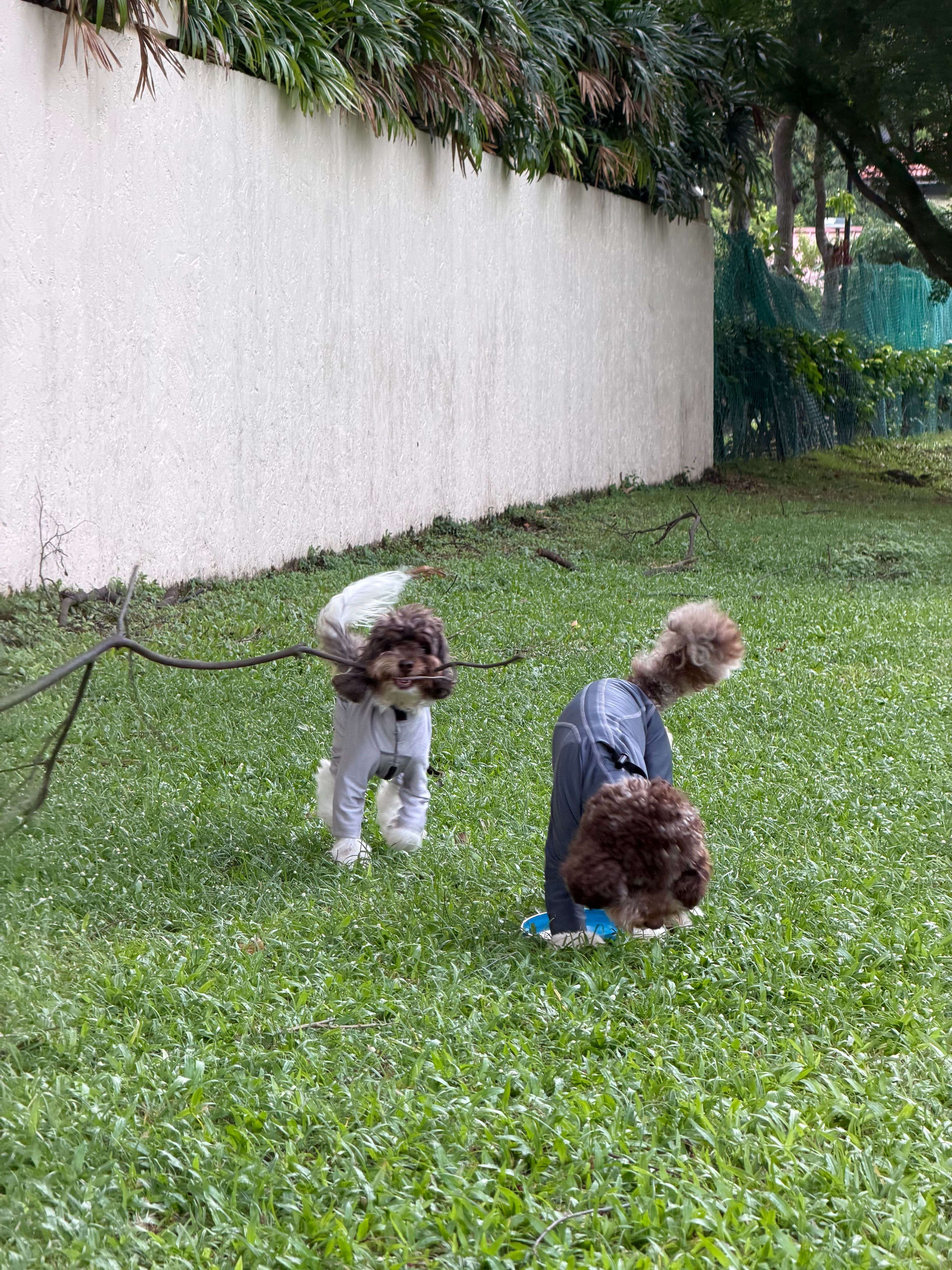 image-8