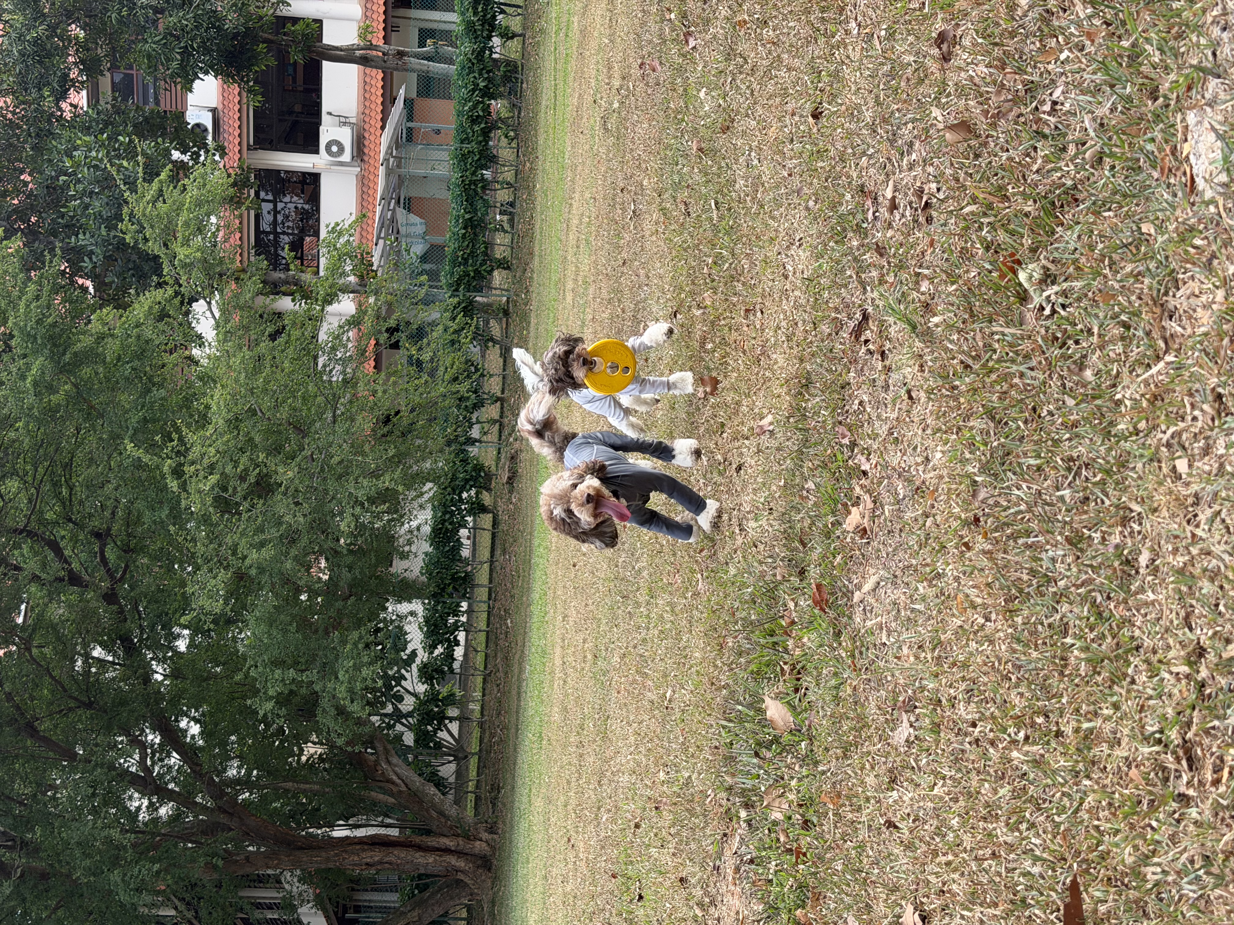 image-13