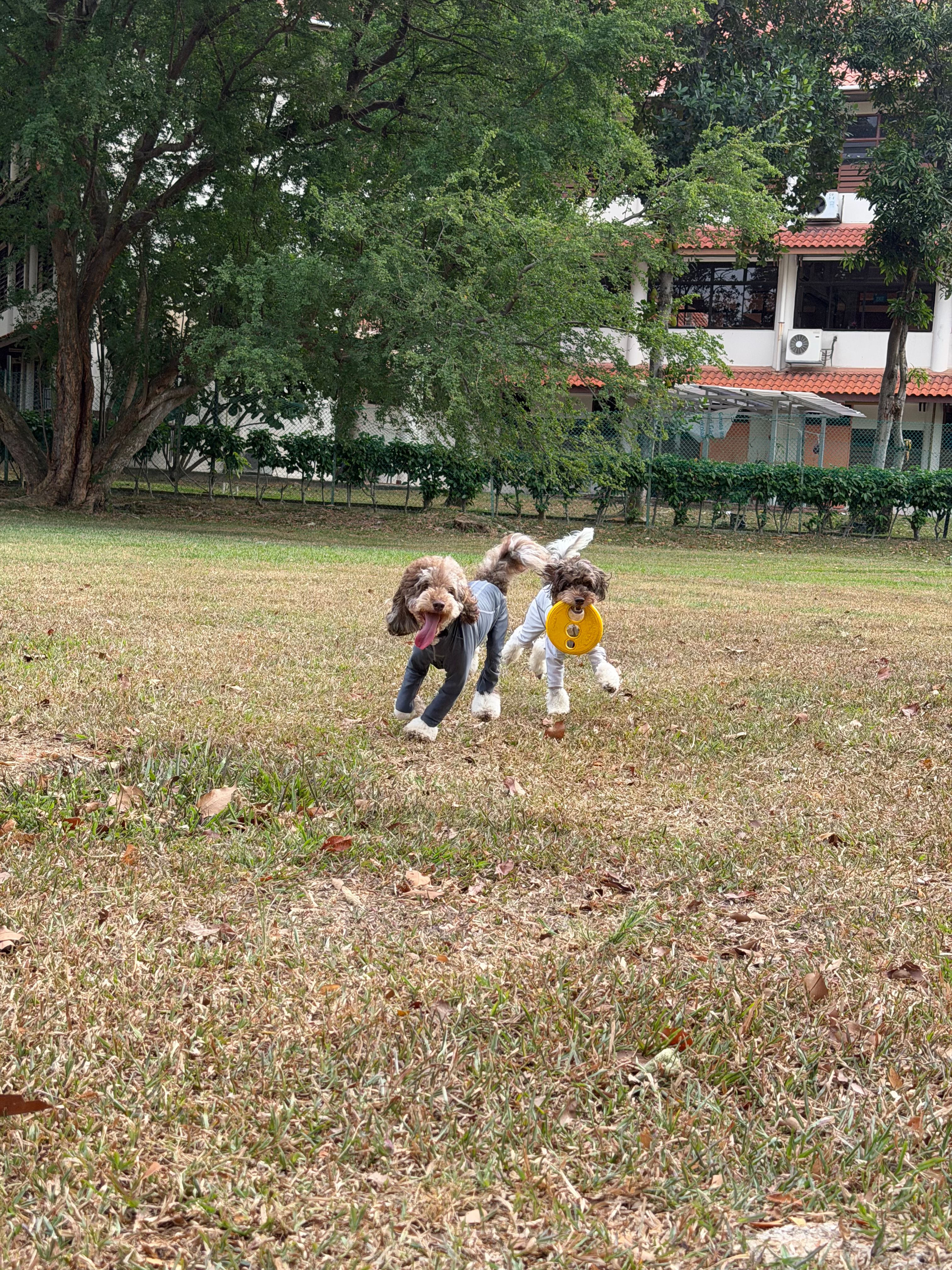 image-13