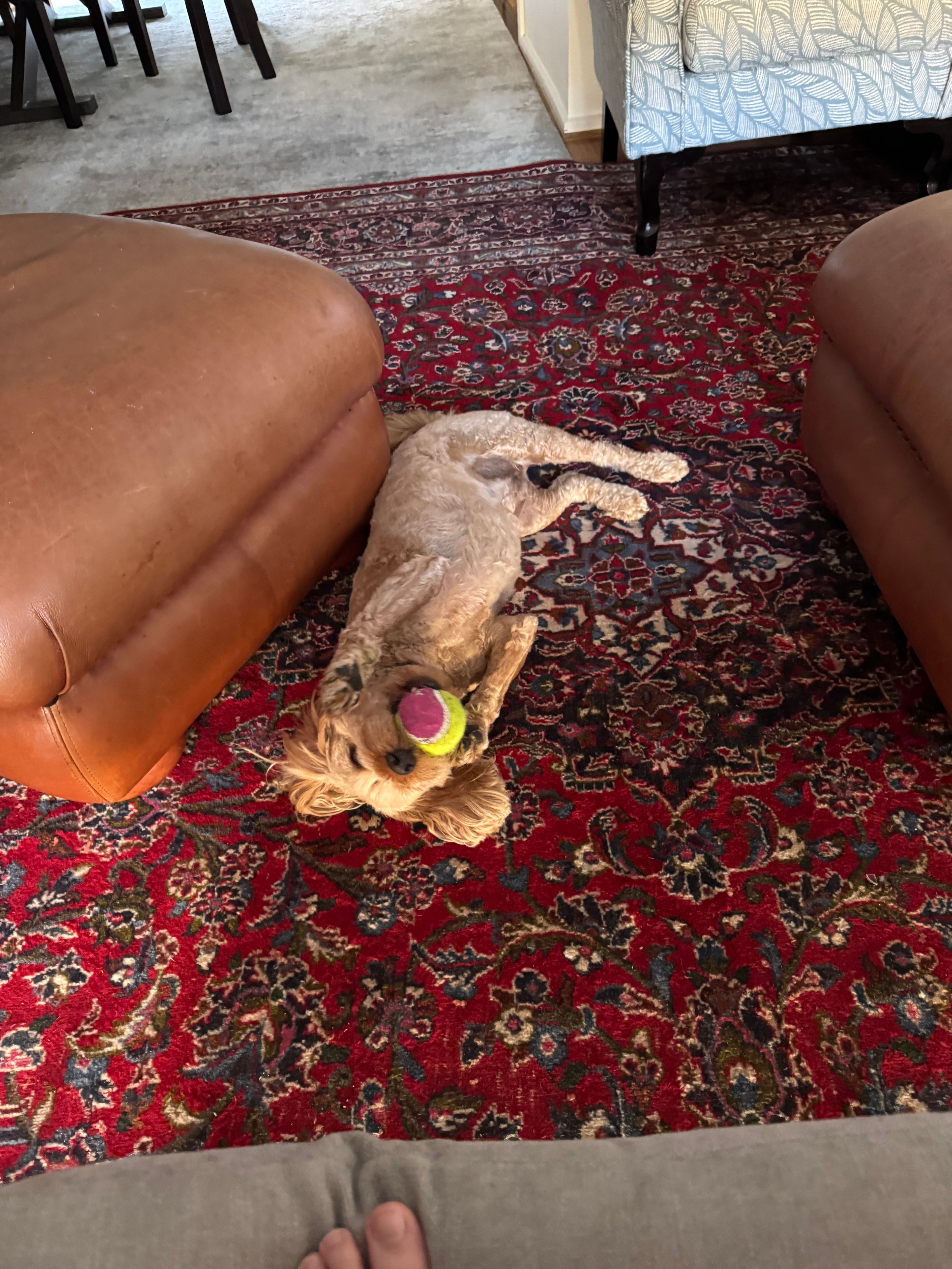 image-6