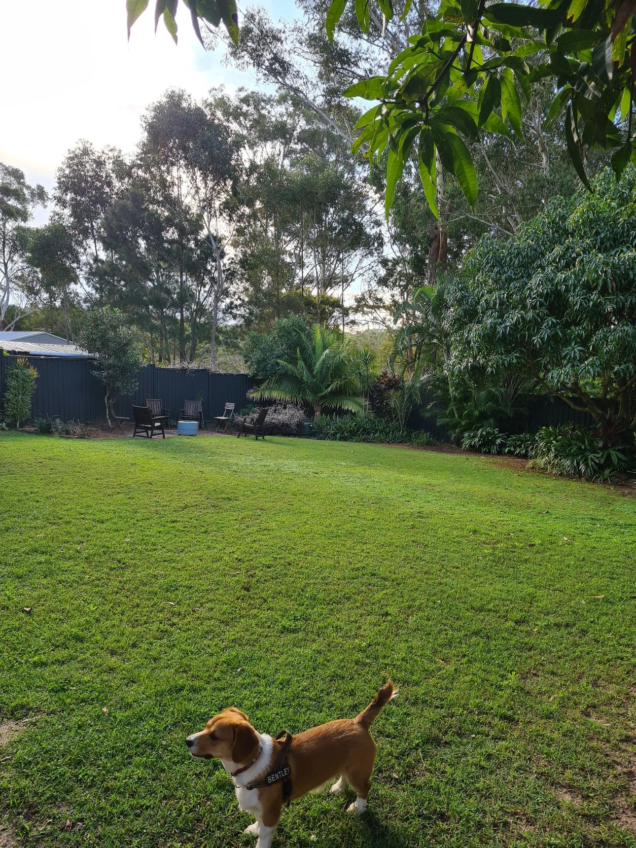 image-18