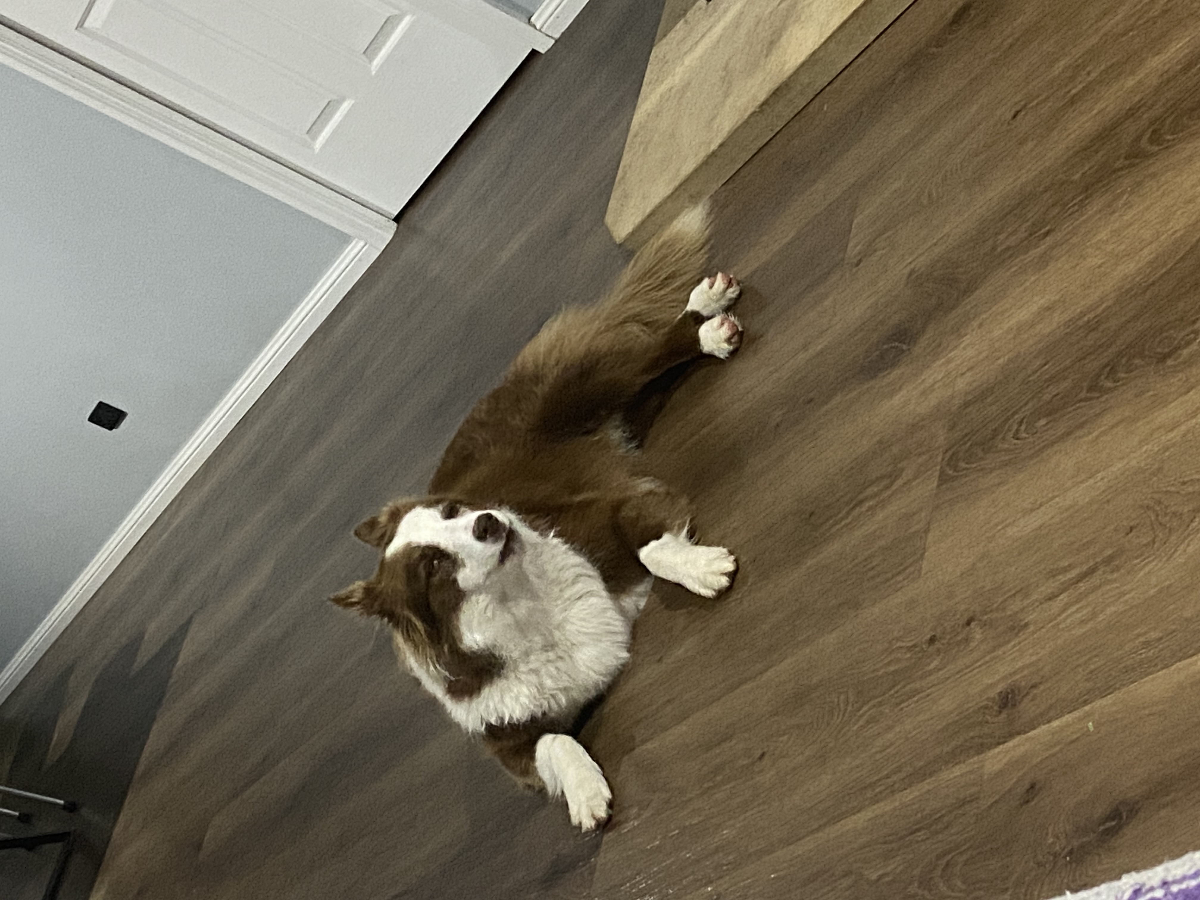image-6