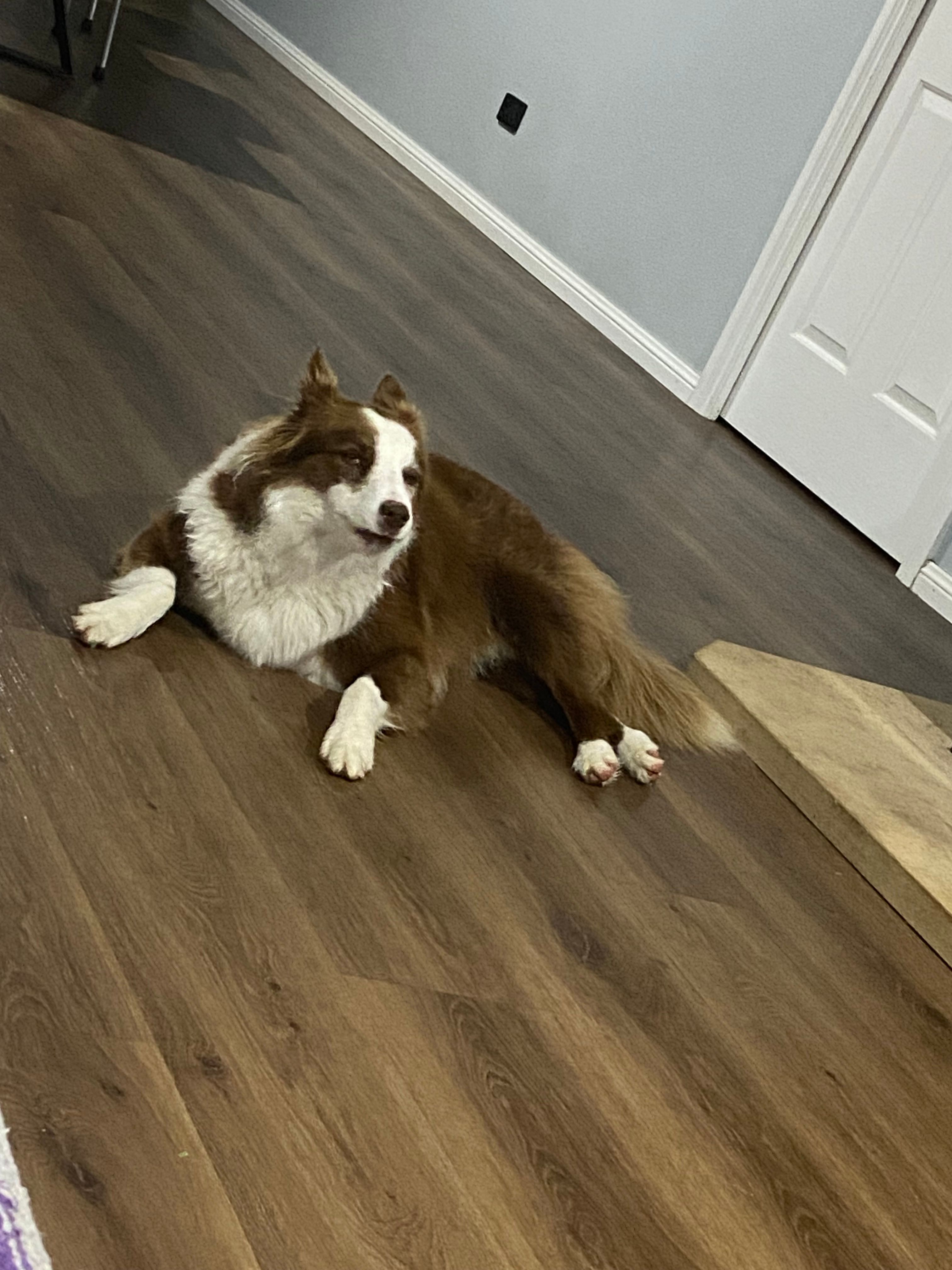 image-6