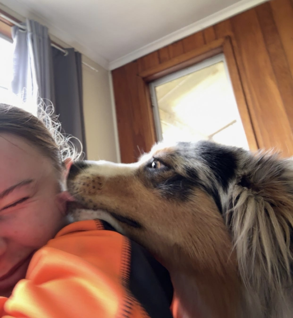 image-7