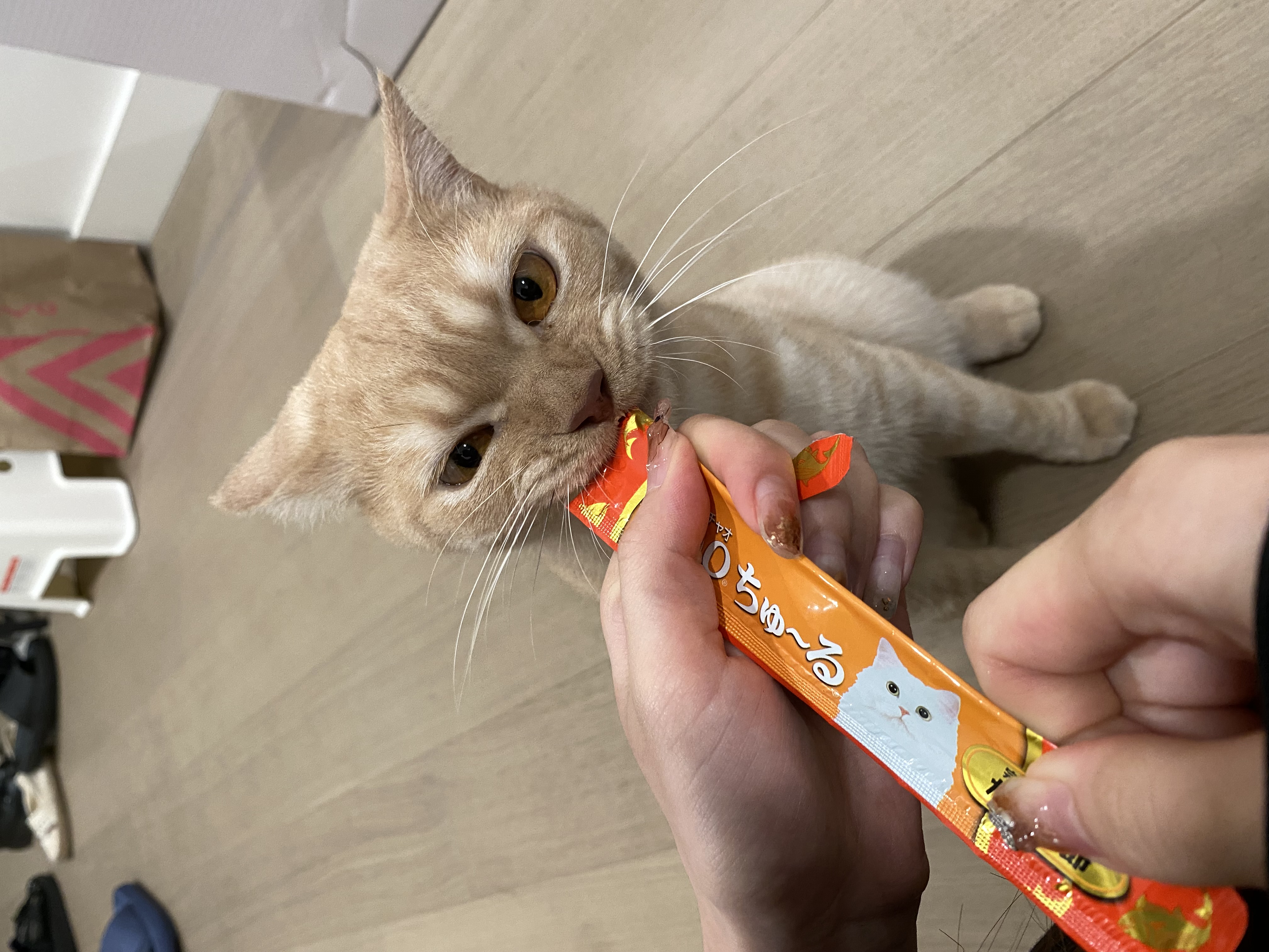 image-7