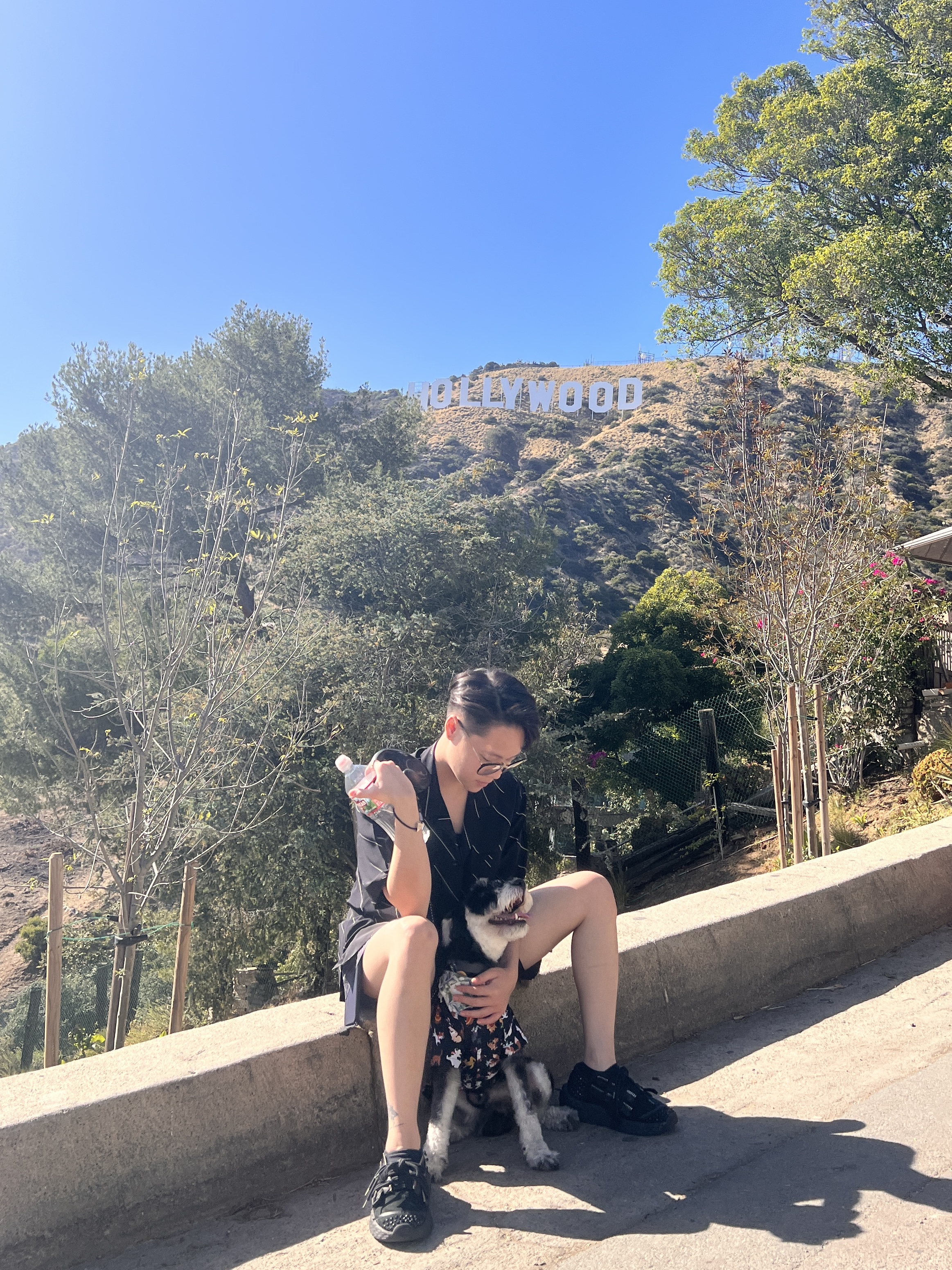 image-2