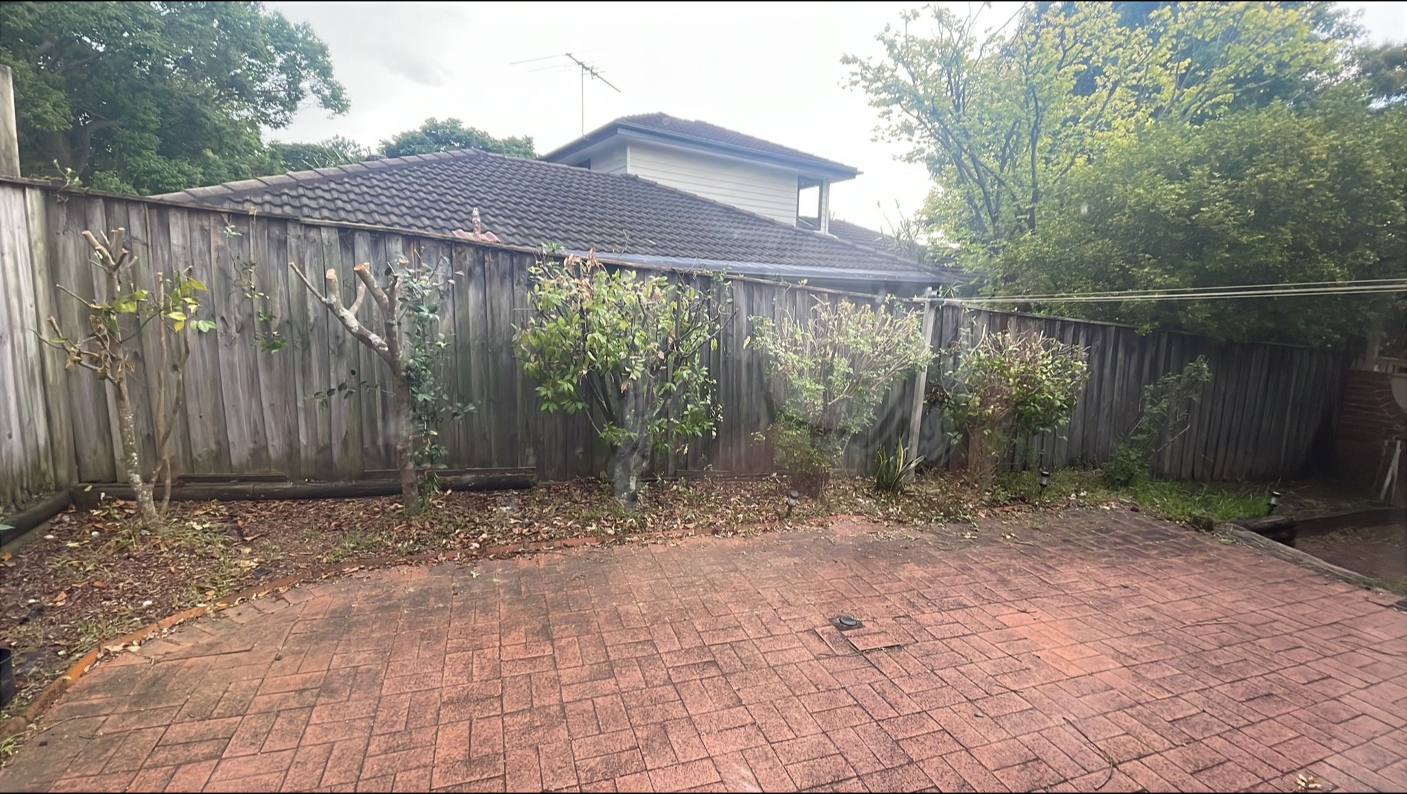 image-19