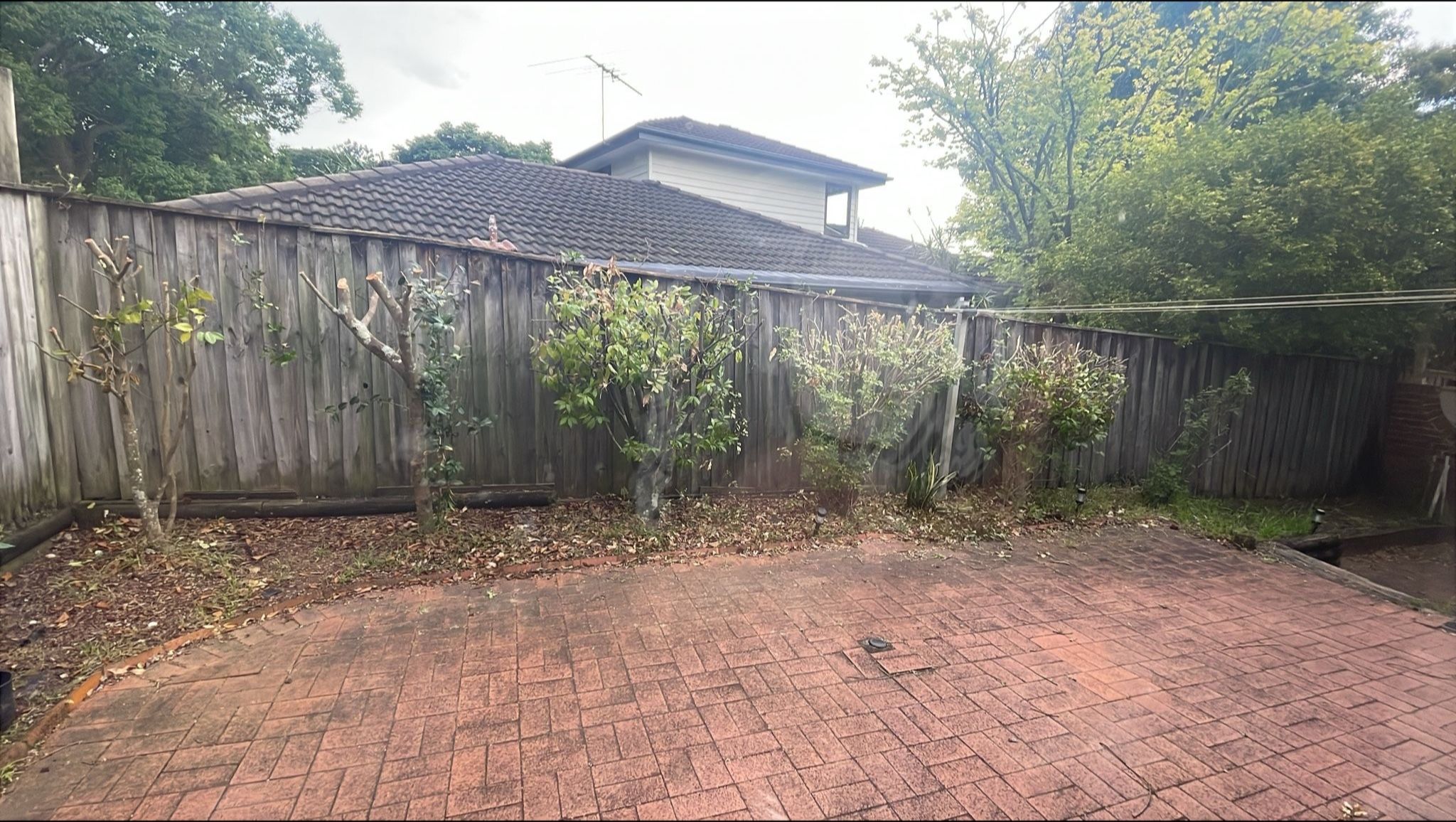 image-19