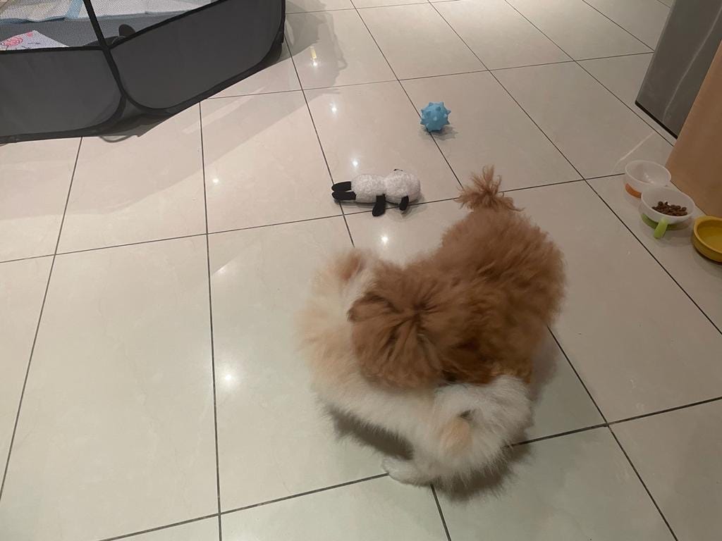 image-15