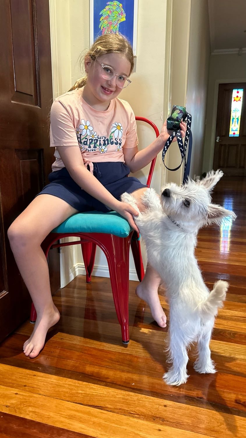 image-18