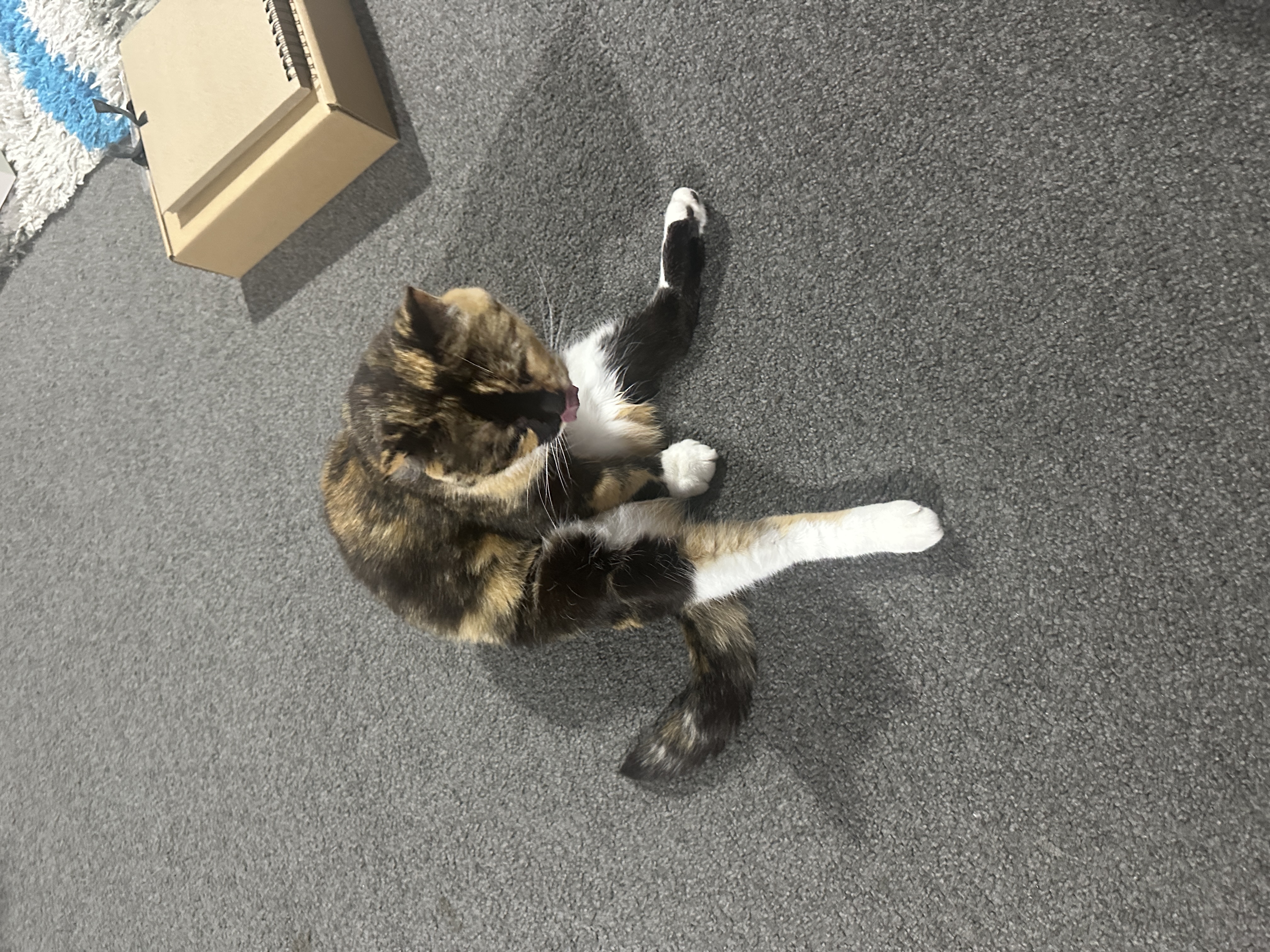 image-8