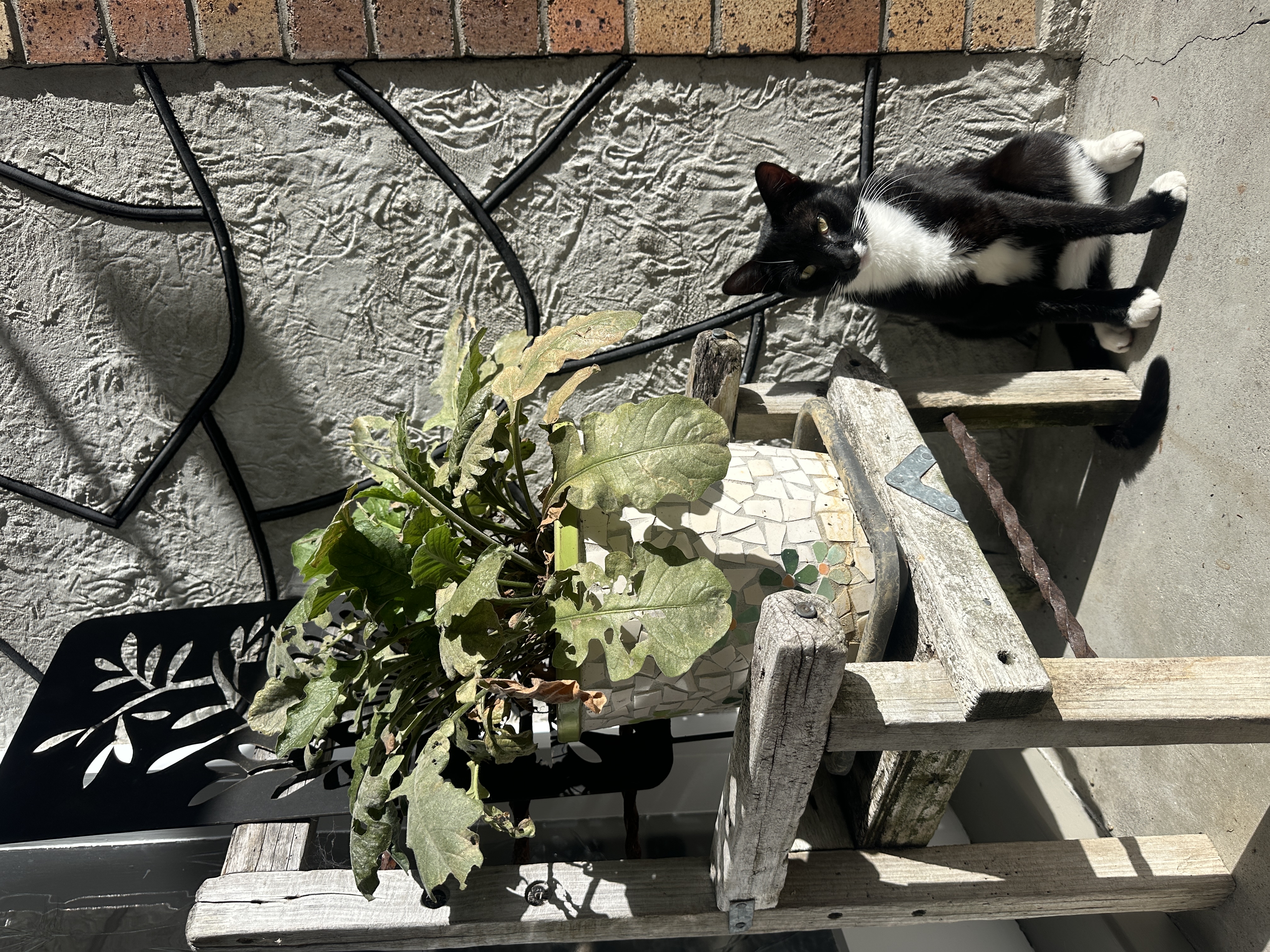 image-5