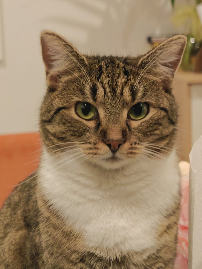 Lily